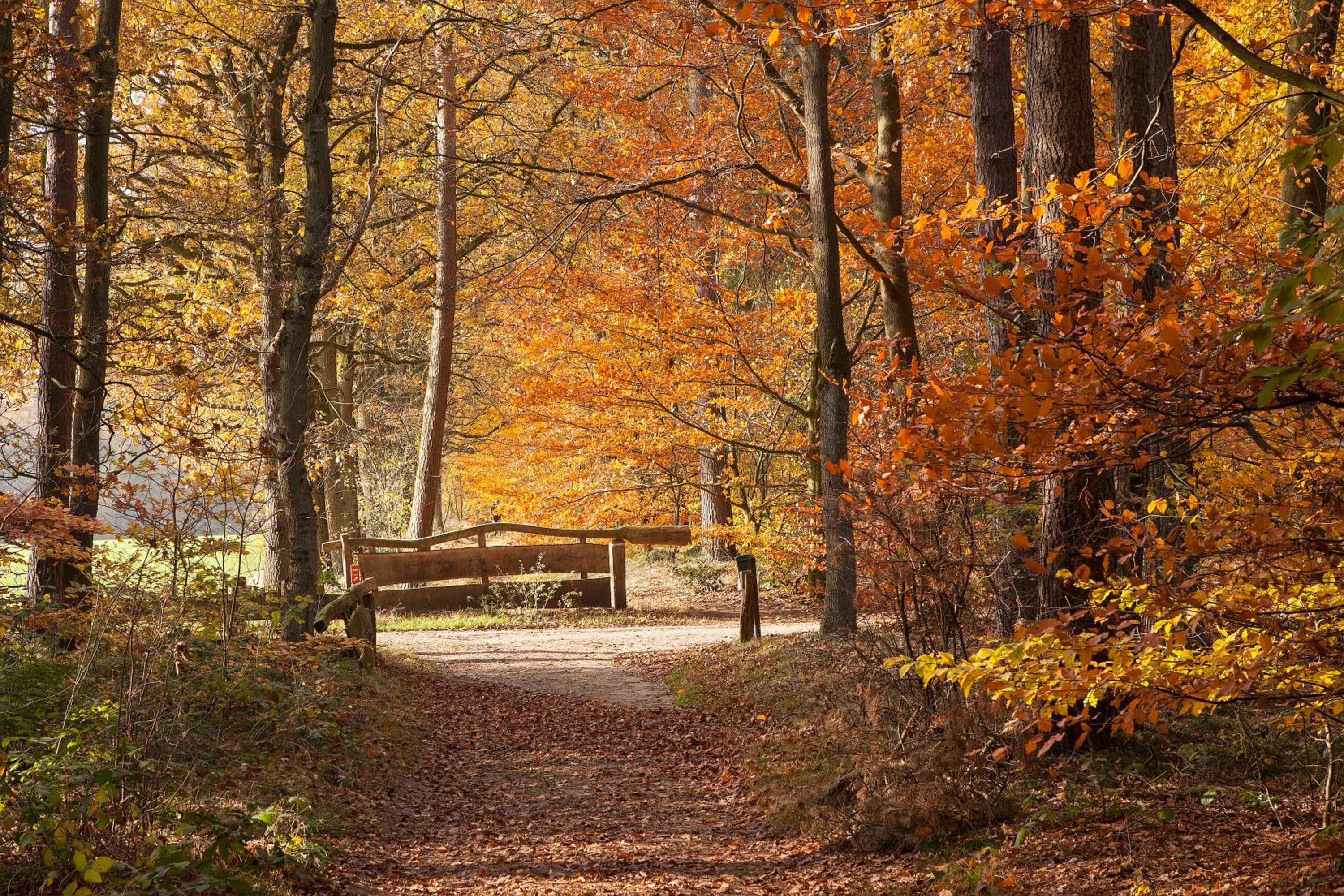 Brunninkhuizerbeek