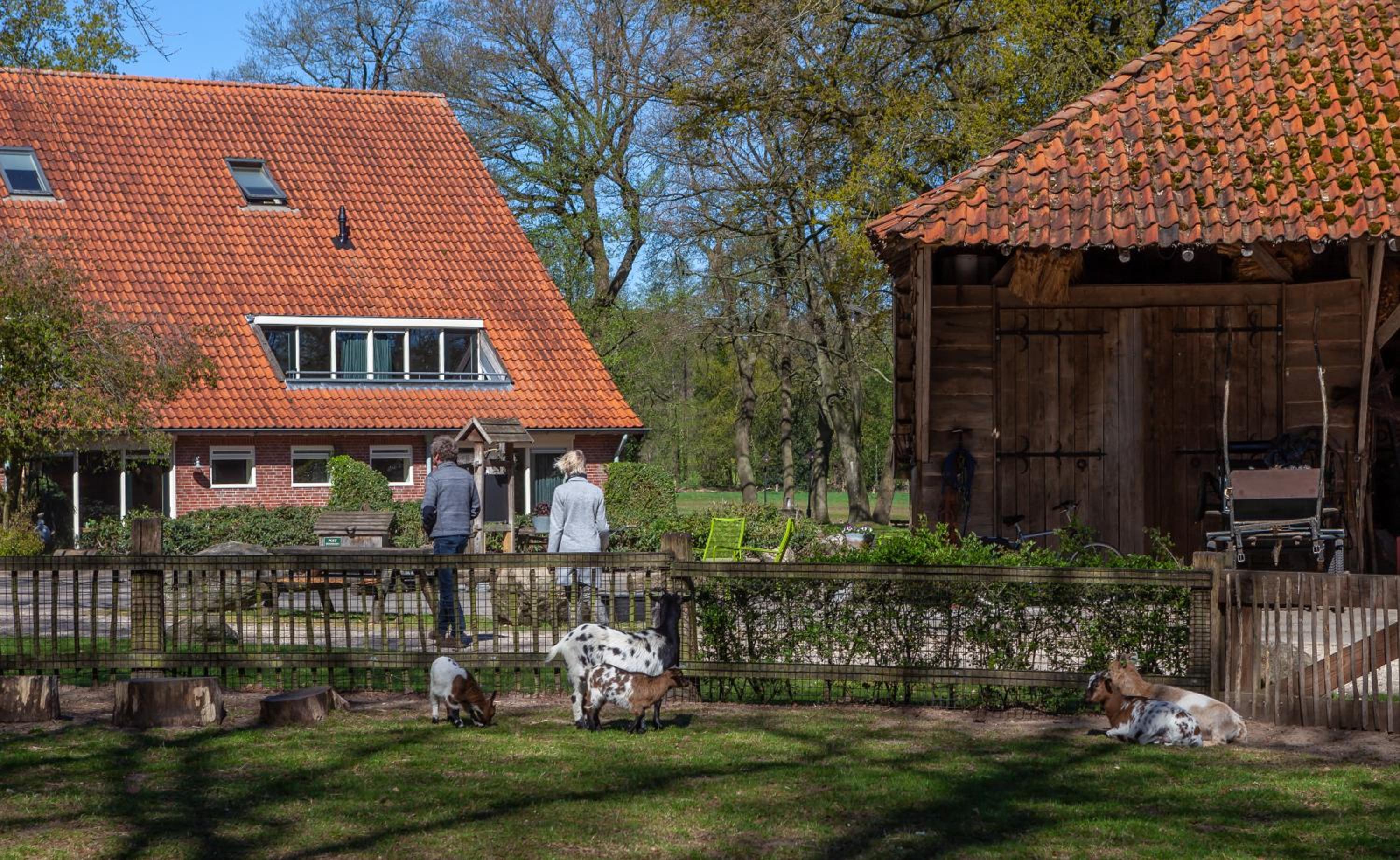 Brunninkhuizerbeek