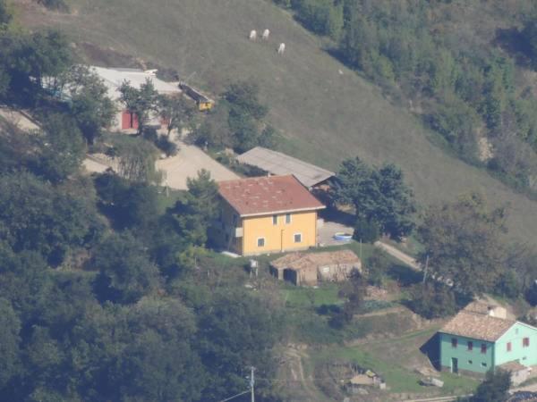 Photo 45