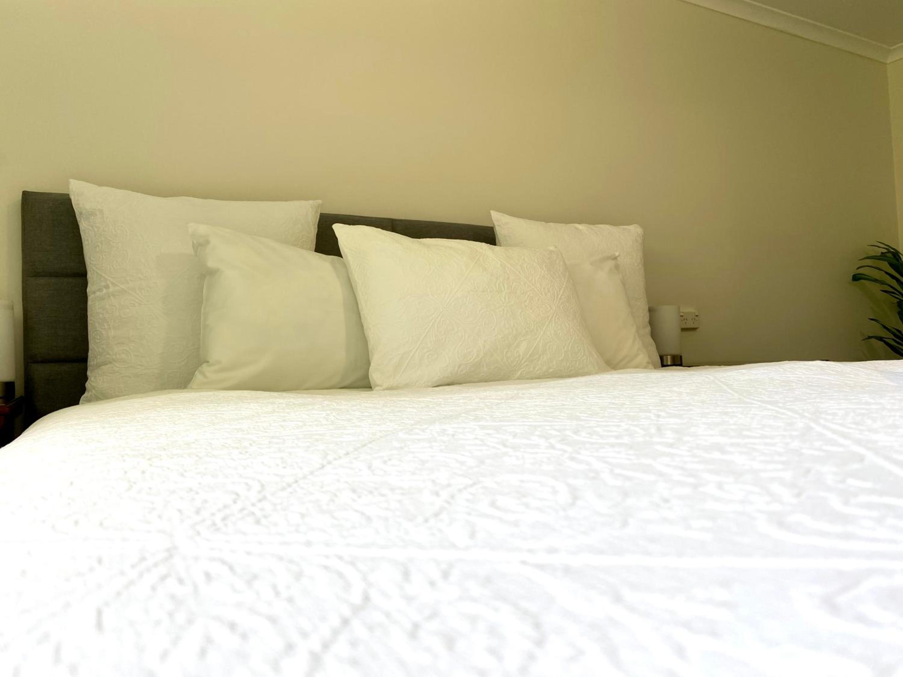 Spacious Apartment with the view of Mt. Wellington