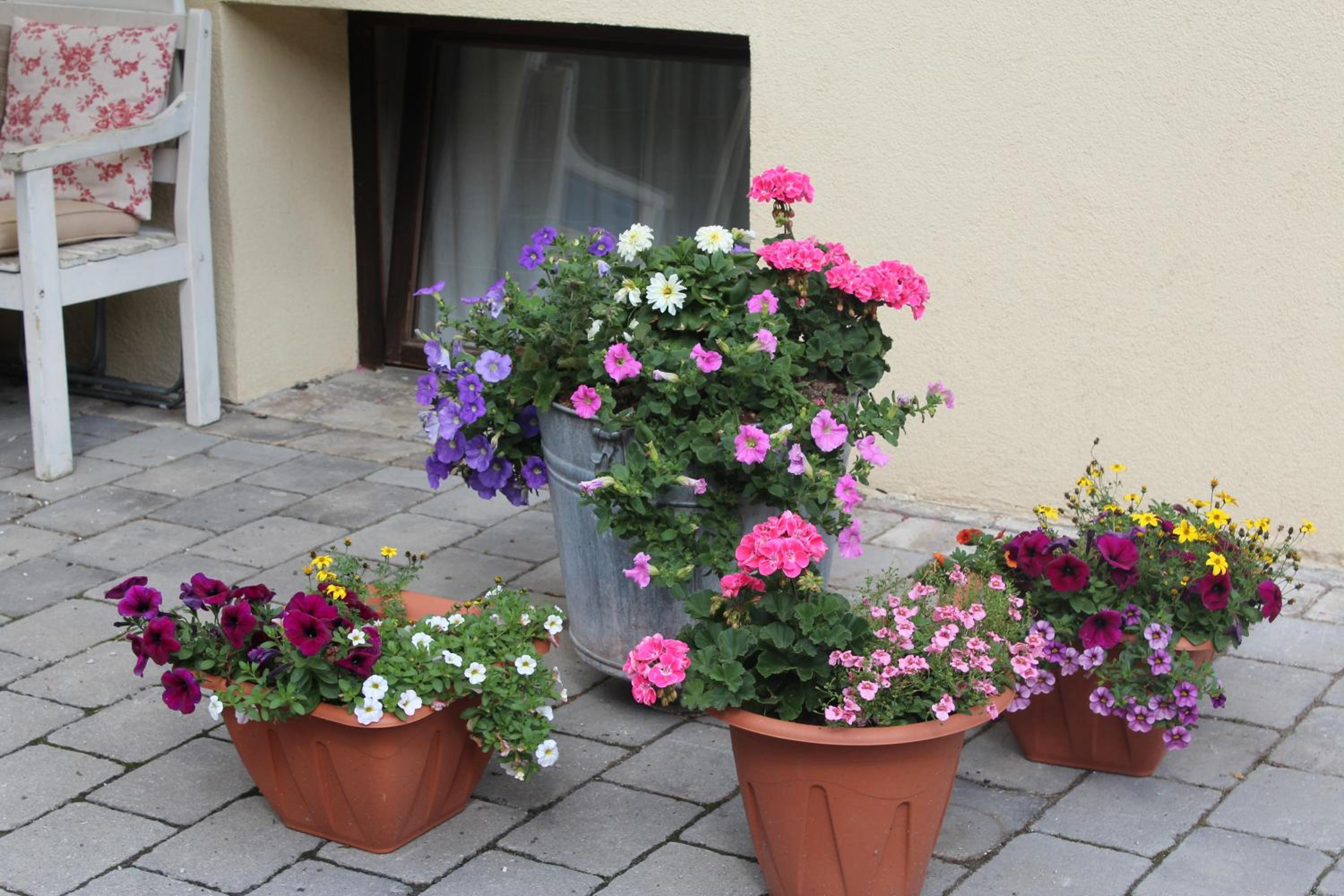Aktivurlaub Morandell
