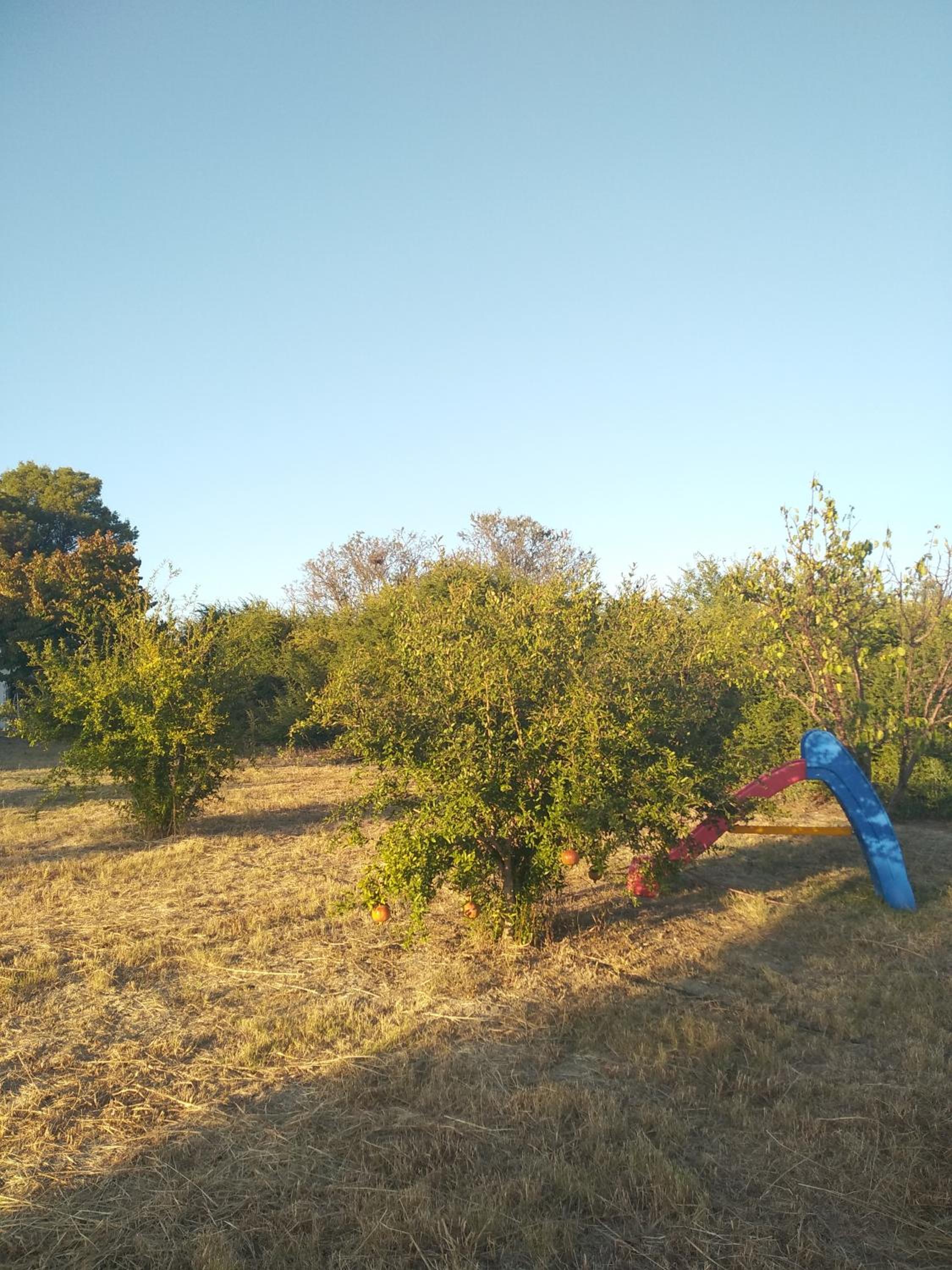 Photo 27