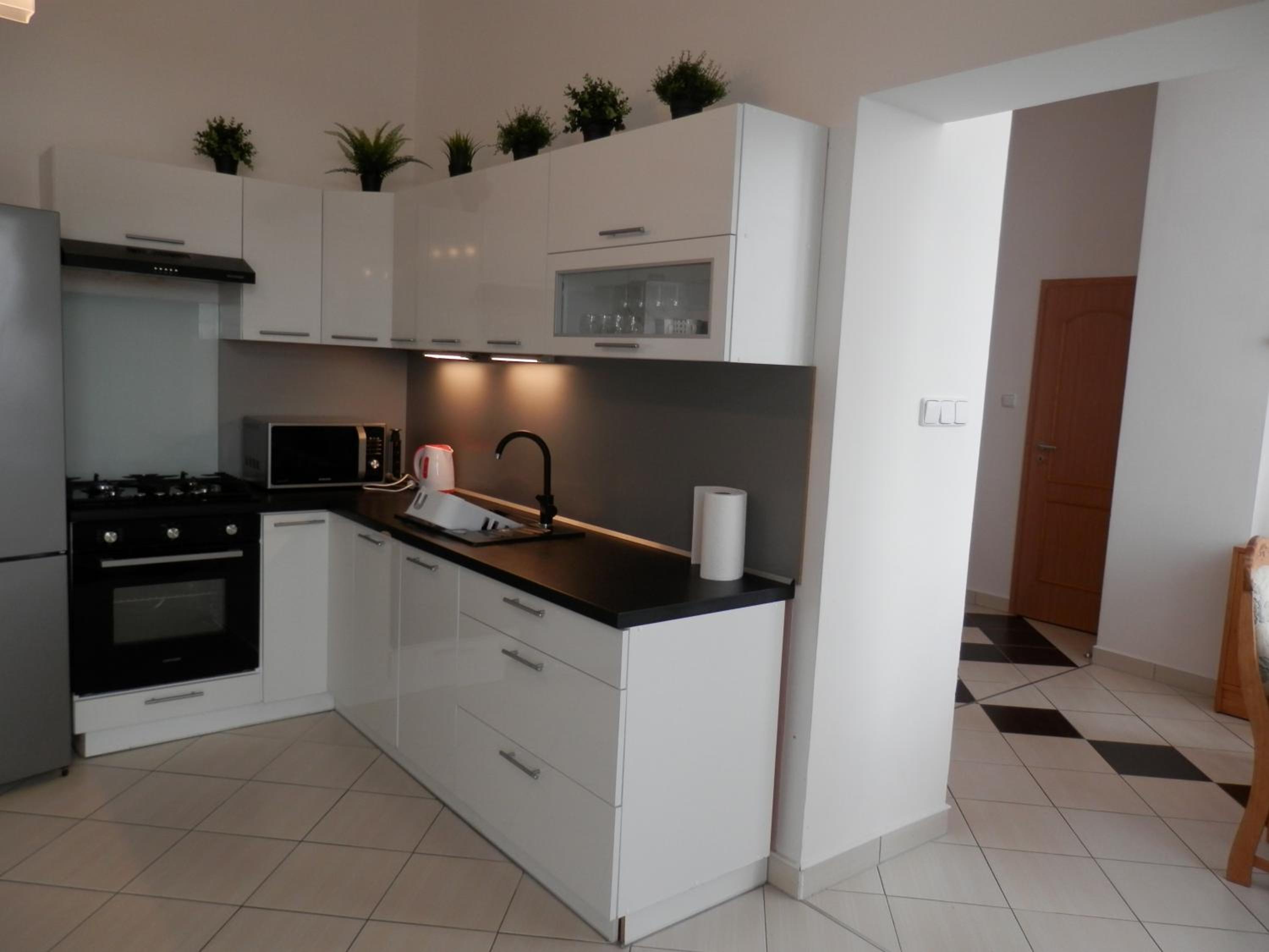 Spacious Apartment Below Spilberk Castle