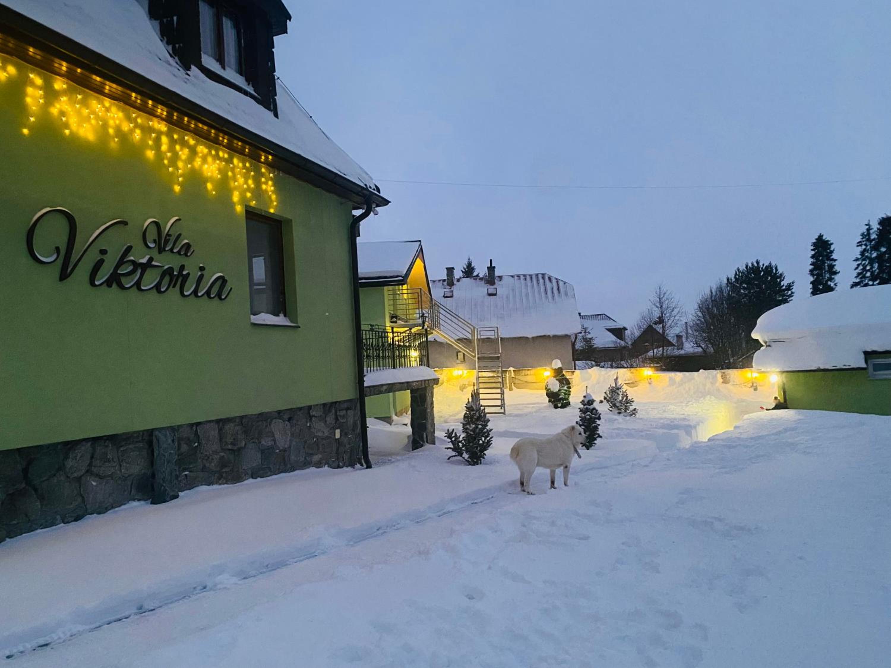 Vila Viktoria view 2