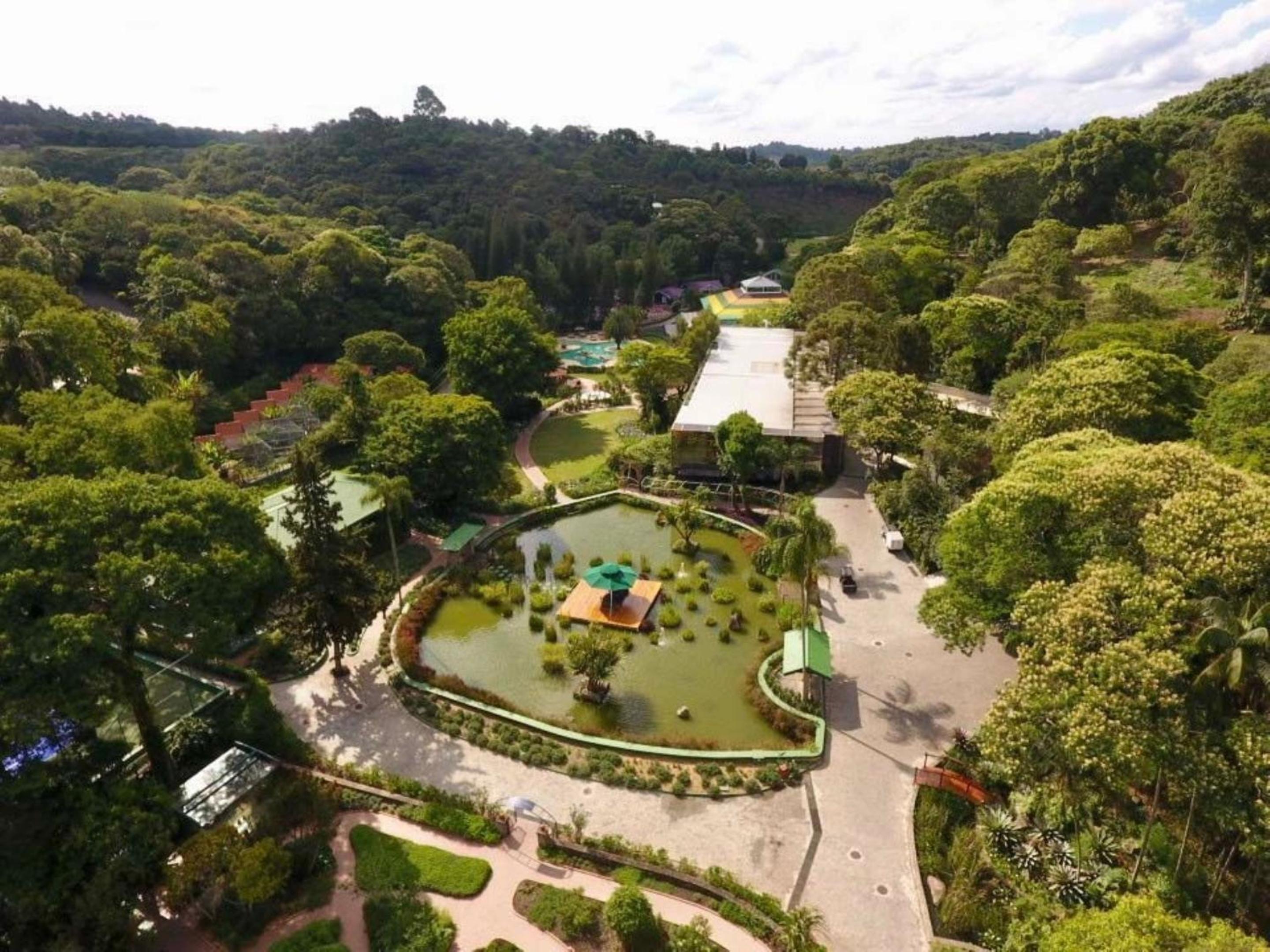 Unique Garden