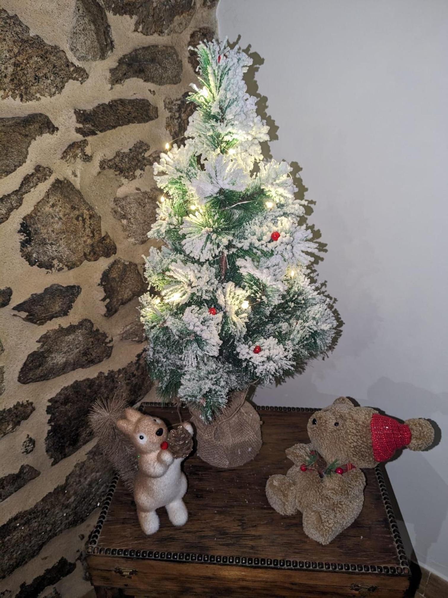 Photo 53