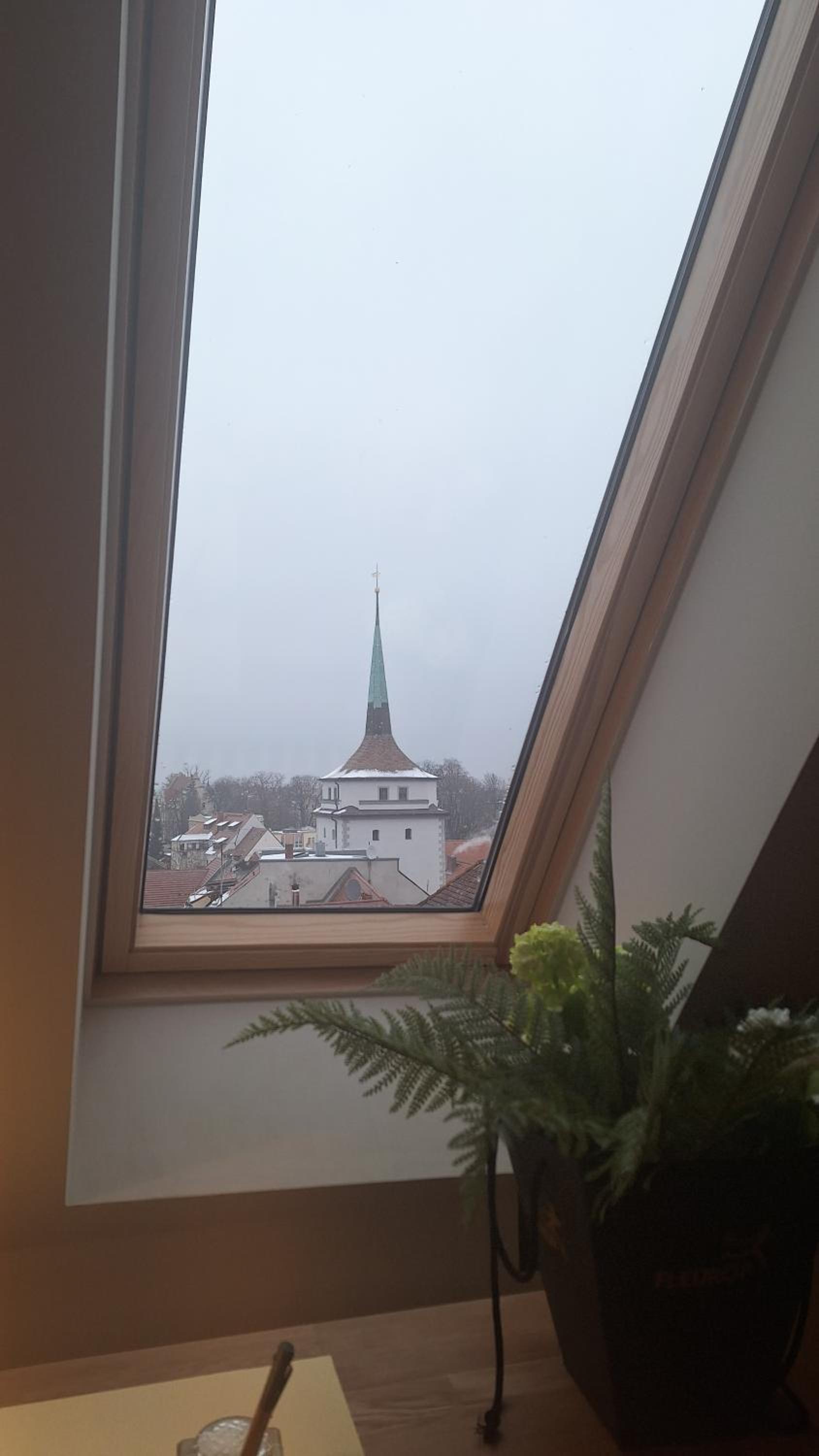 Stadtpalais Bellevue-Suite 3- Zimmer- Maisonettewohnung mit Dachterrasse maximal 4 Personen