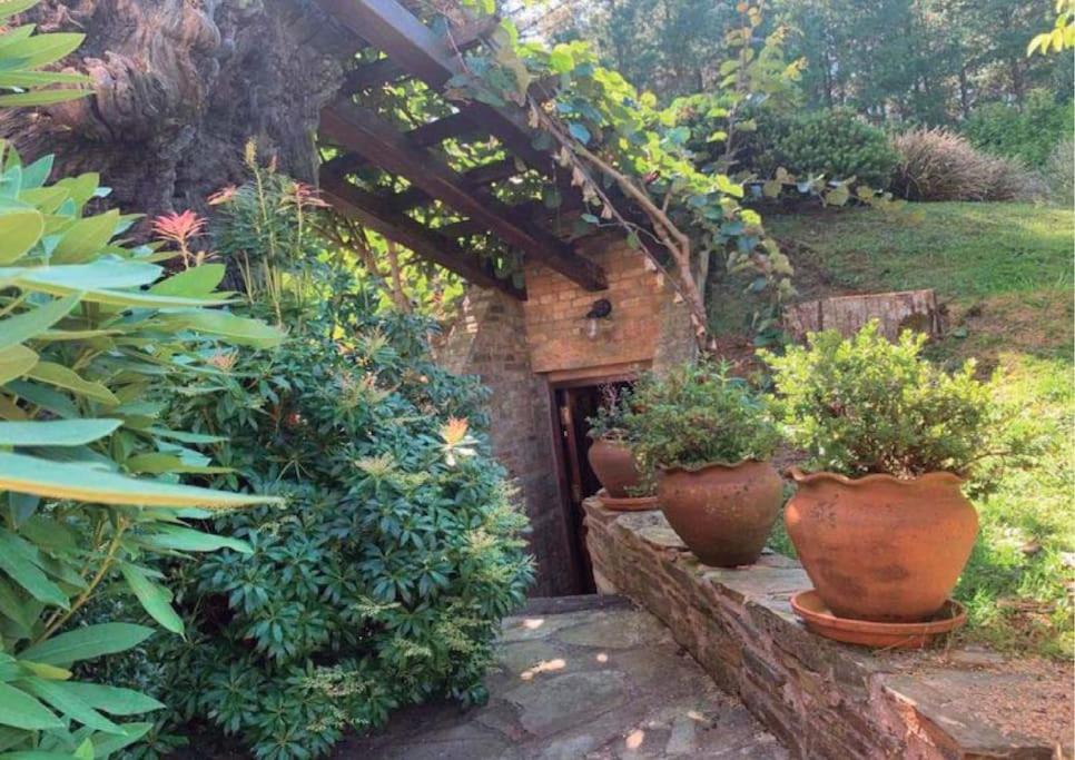 Casa Do Rivera