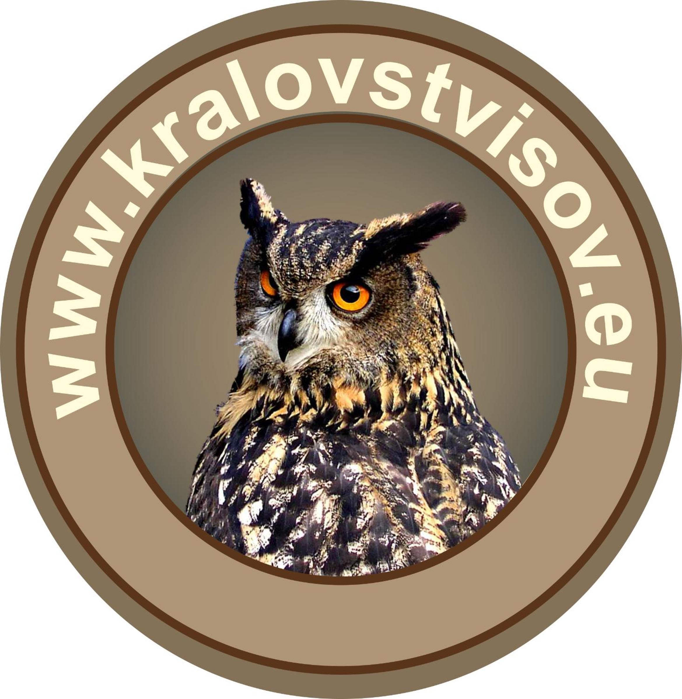 Apartmán v centru Království sov