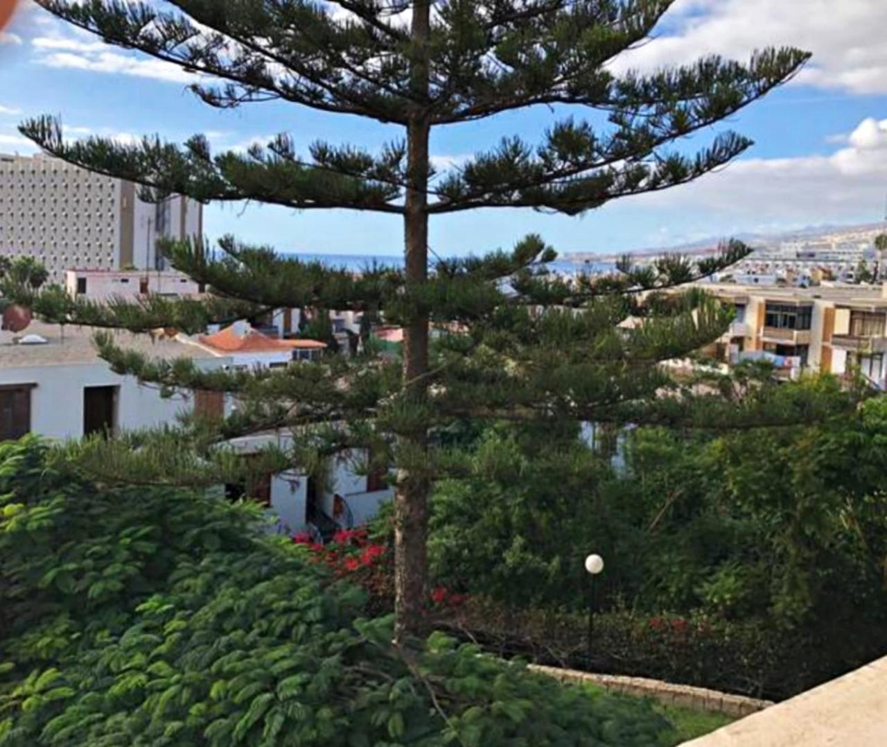 Las Americas Best-Suite -Ampio Appartamento con vista, giardino e piscina view 4