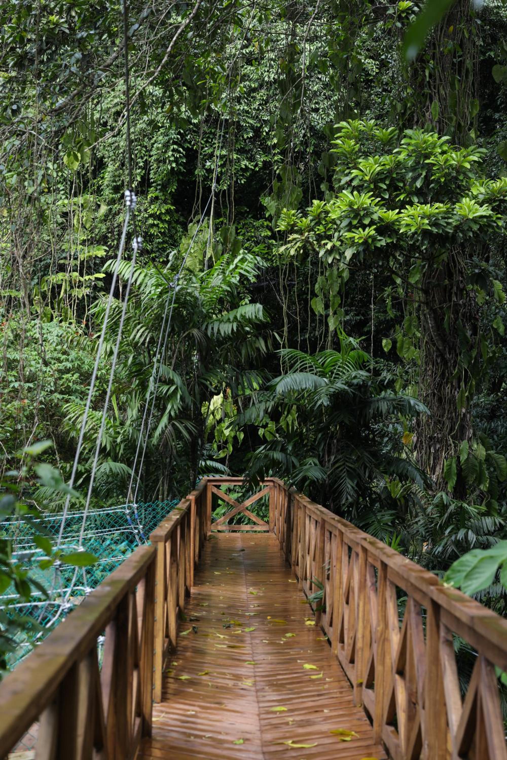 Jade Jungle Resort