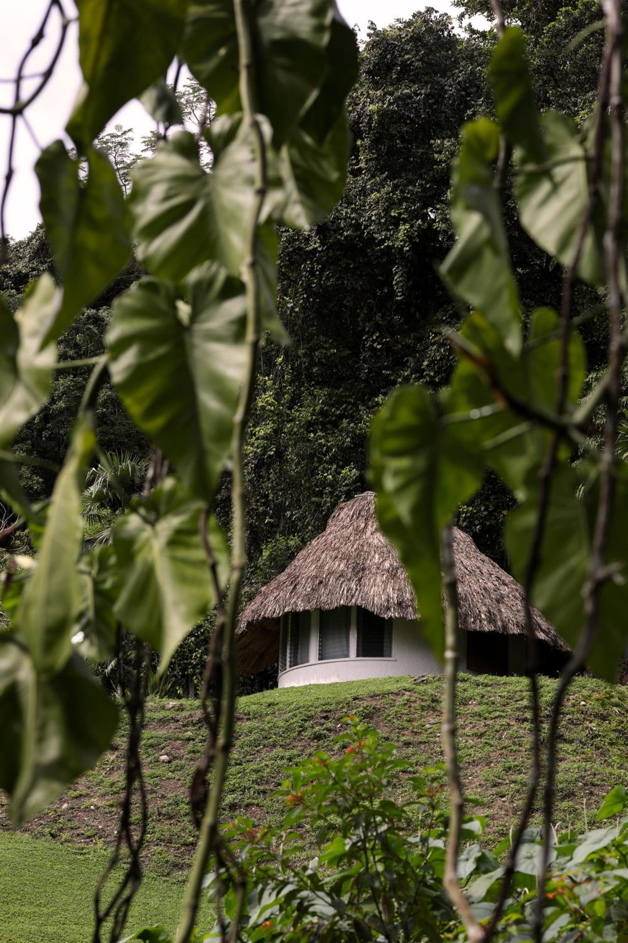 Jade Jungle Resort