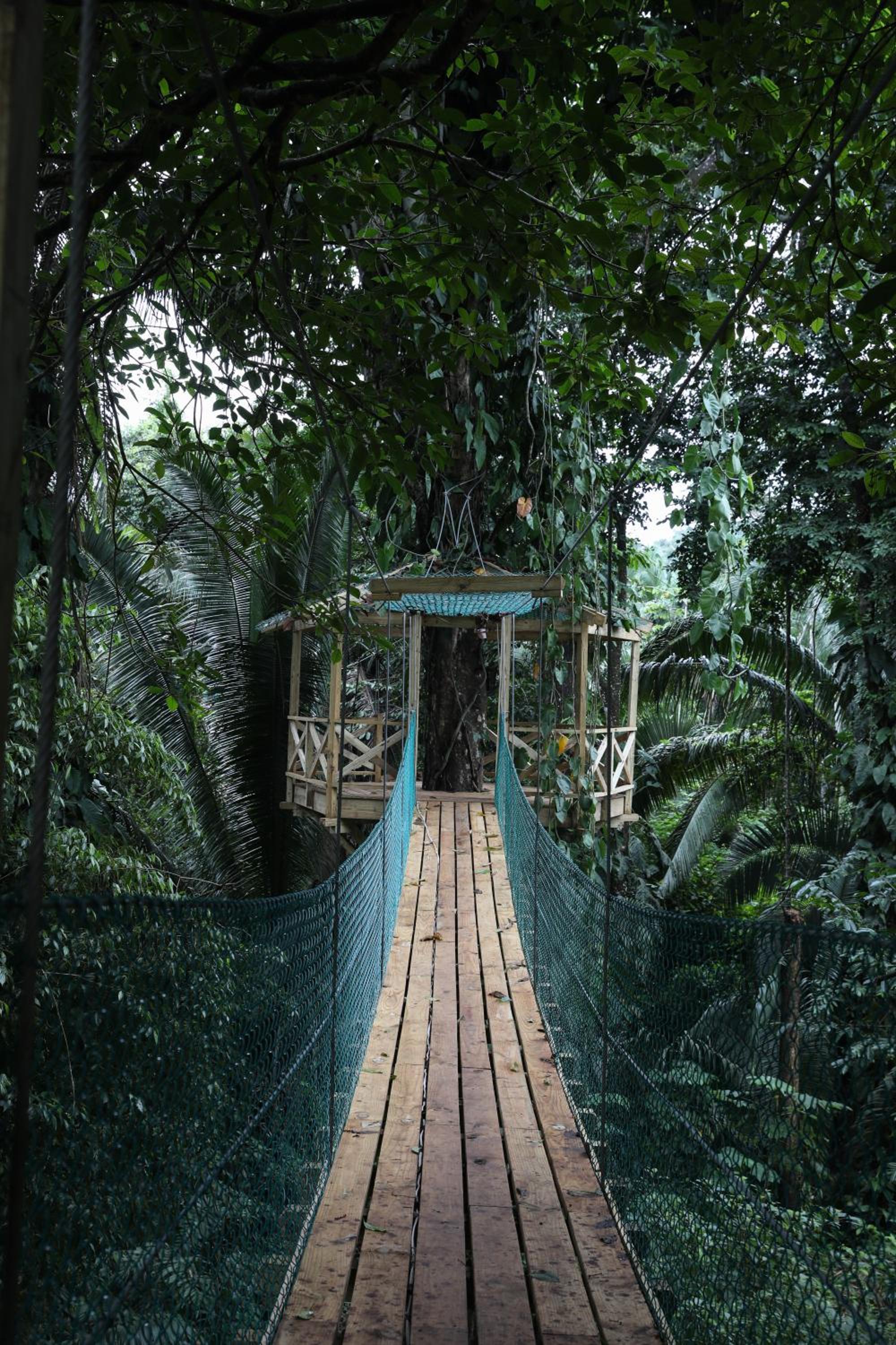 Jade Jungle Resort