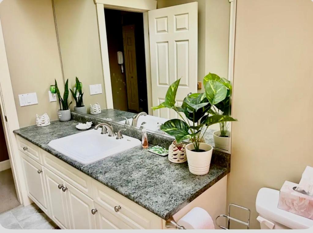 Spacious & Comfortable, Private Queen Room & Bath in West Cloverdale