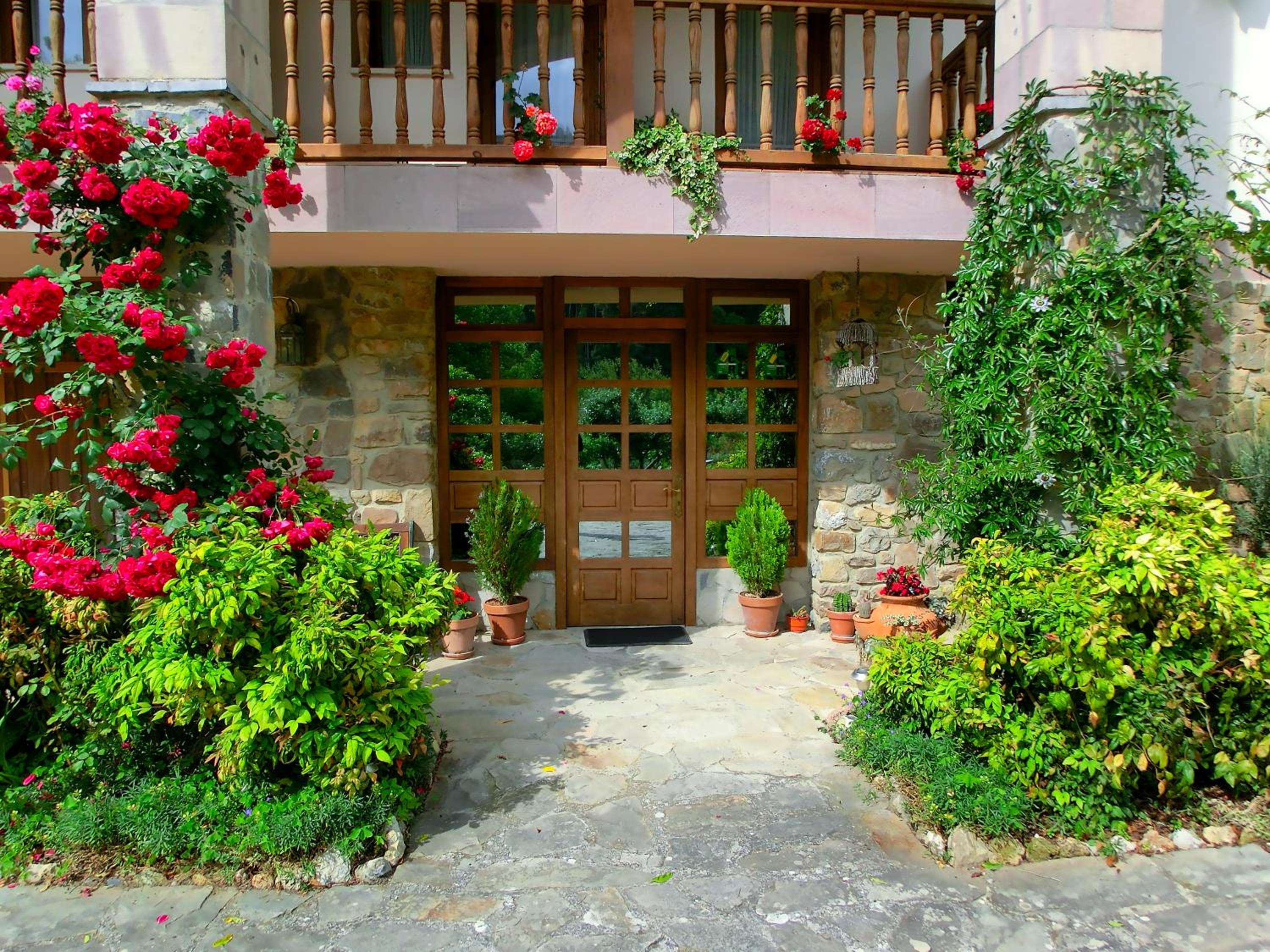 Apartamentos Javier