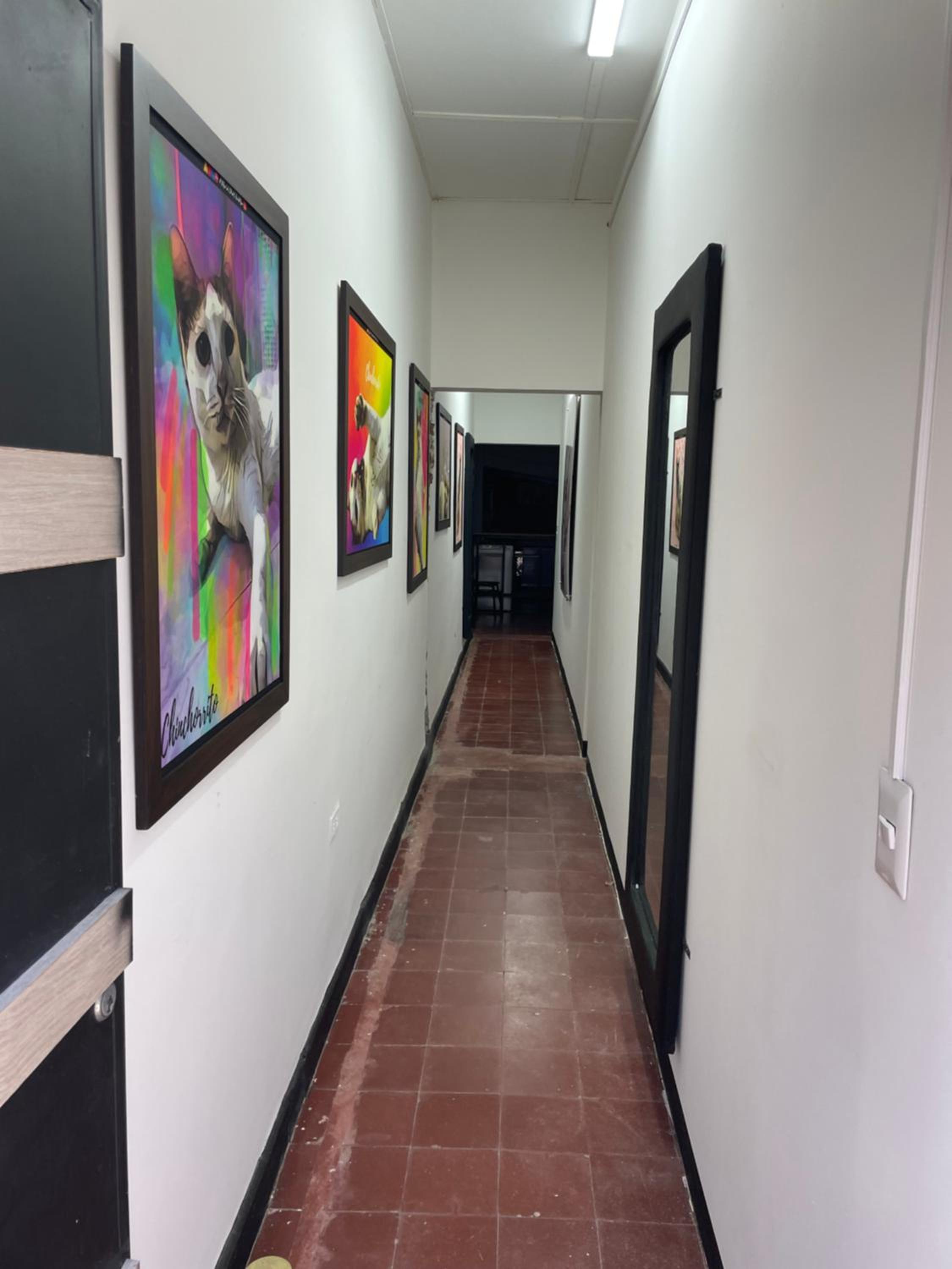 Hammocks - Hamacas - Property Image 9