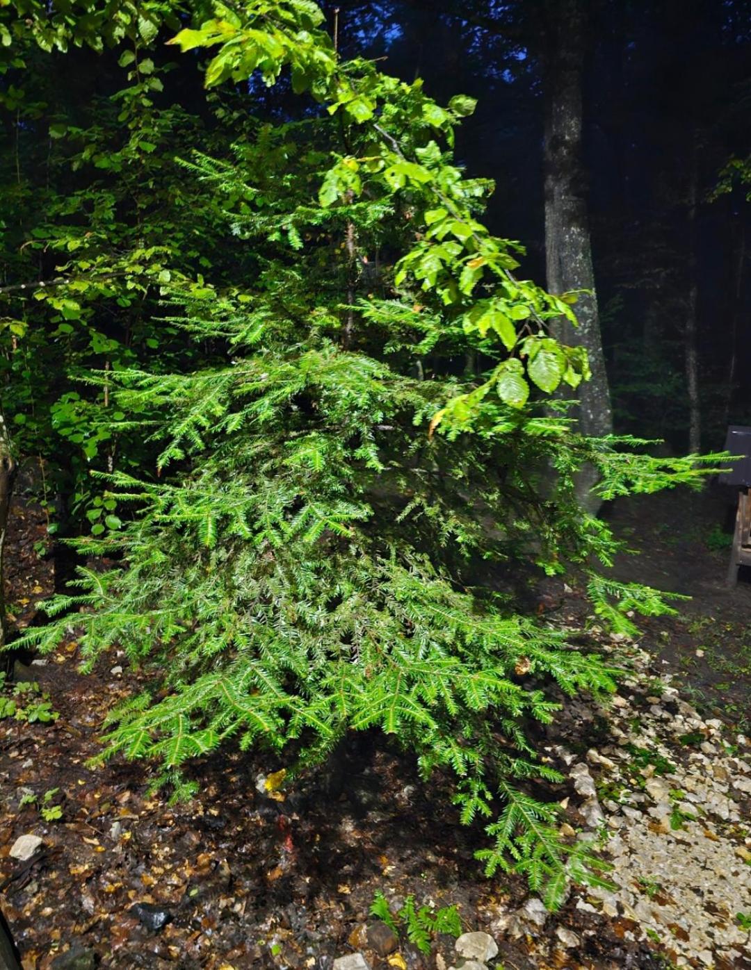 Vikendica Kozara