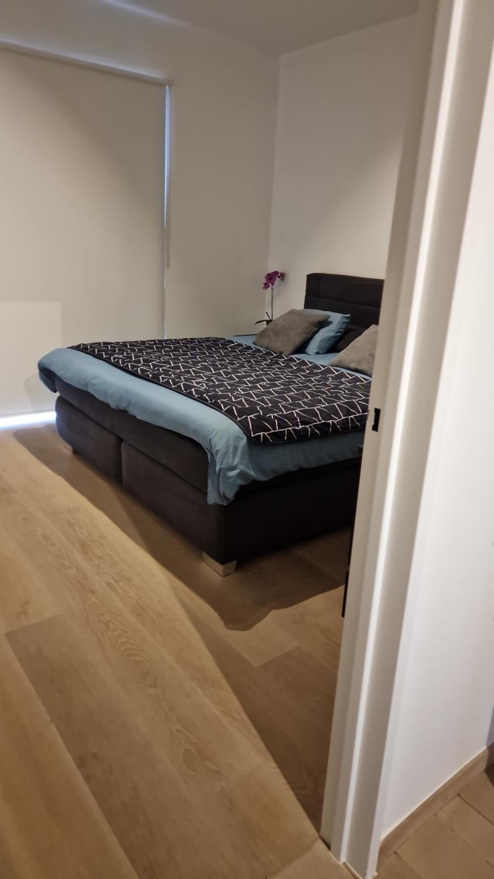 Gezellig appartement Beveren Kruibeke Zwijndrecht Donkvijver view 4