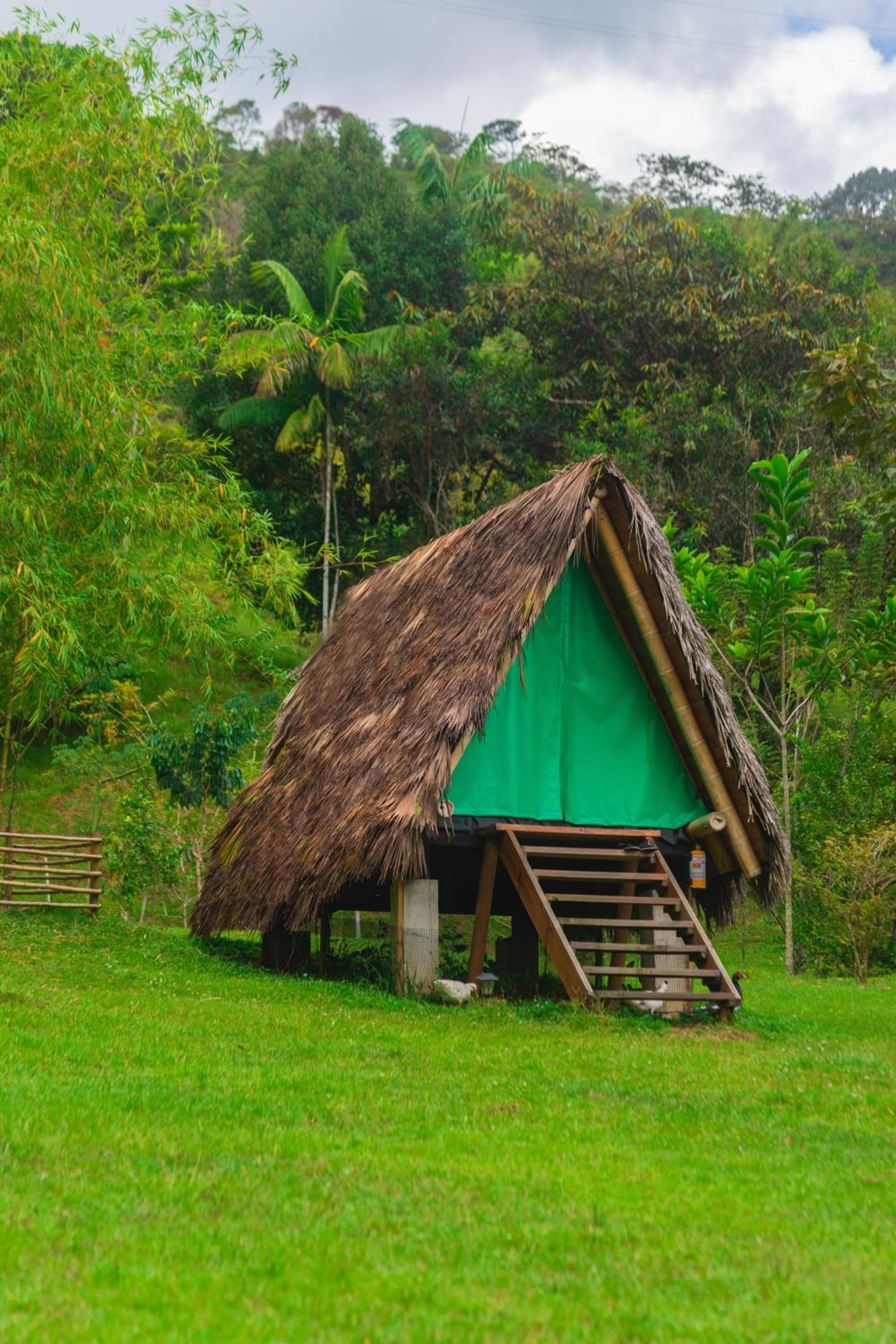 La Perla Negra Eco-Lodge & Hostel