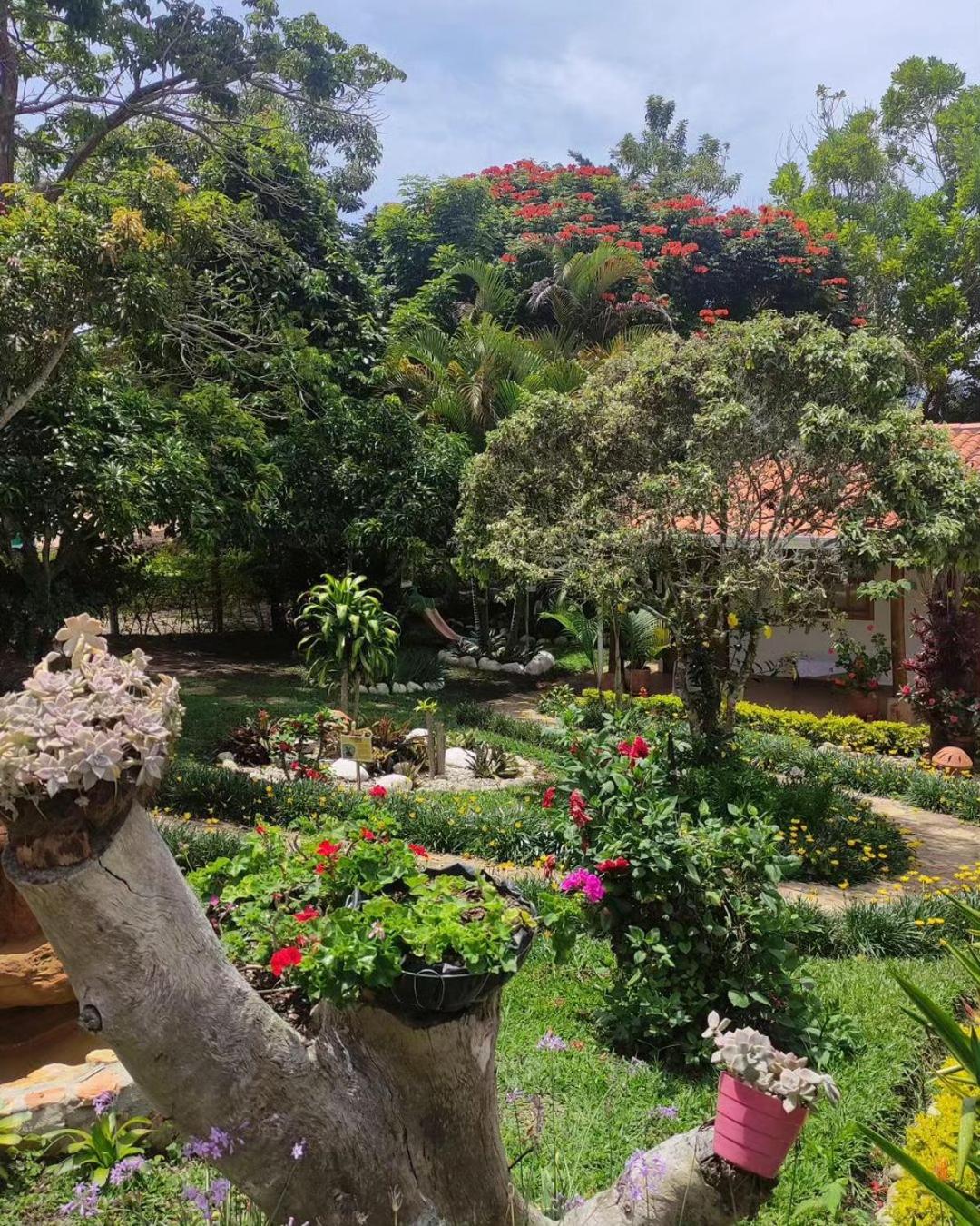 garden