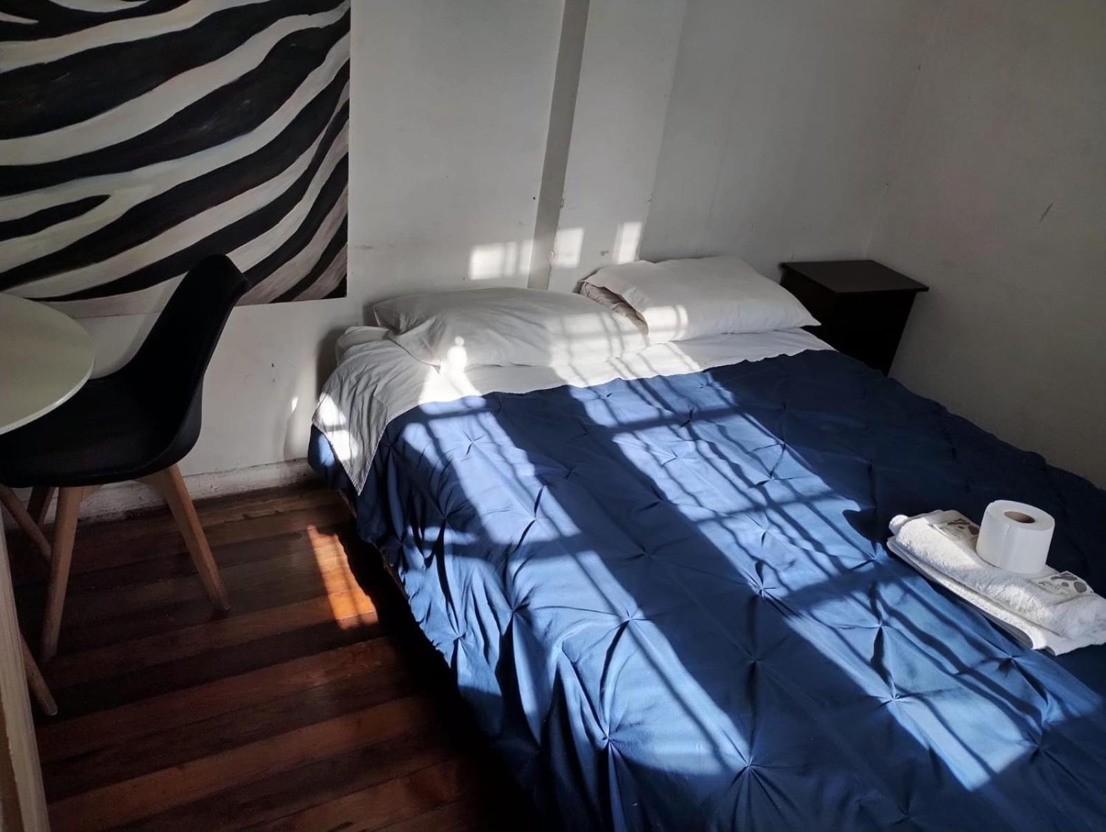 Wild Bellavista Hostel