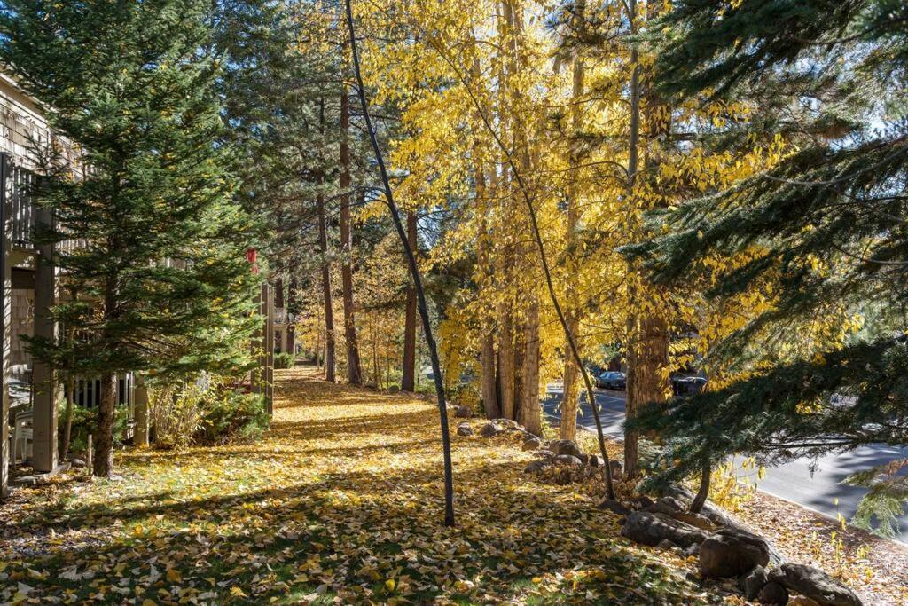 Tahoe Bliss: Ski, Hike, & Relax, photo 48