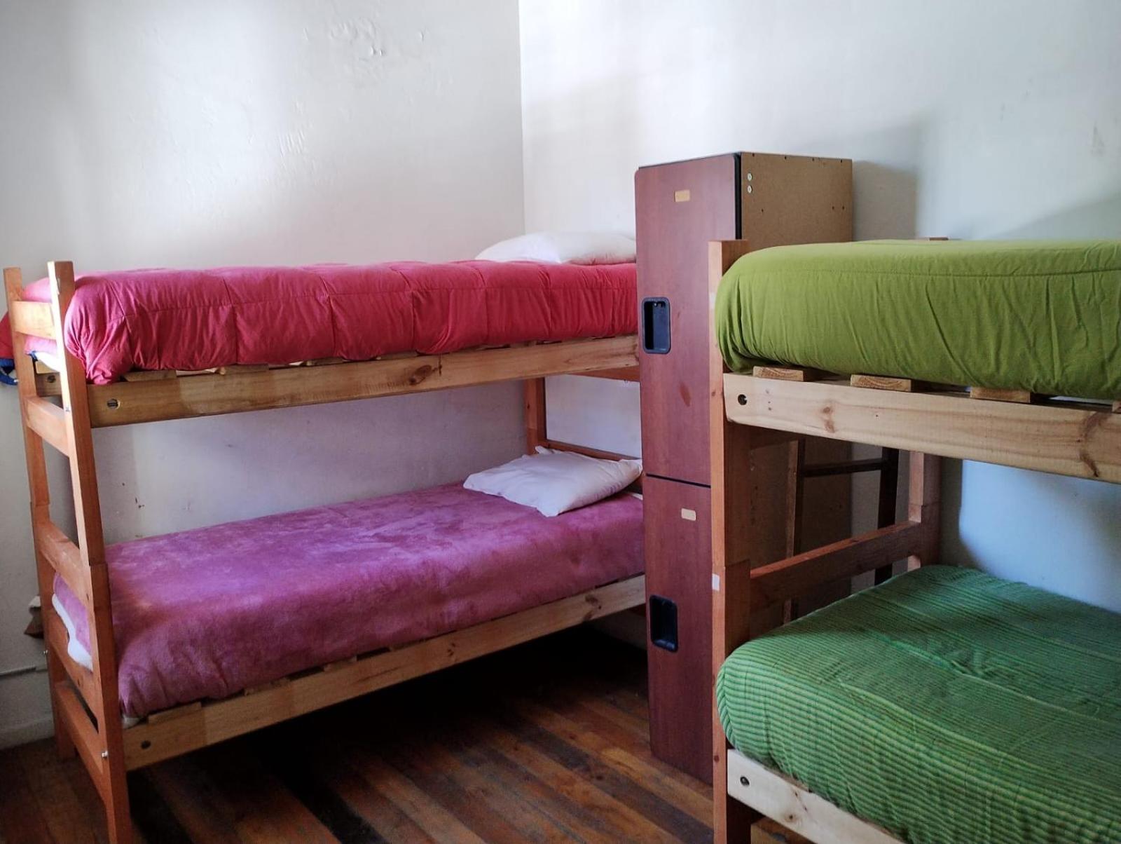 Wild Bellavista Hostel
