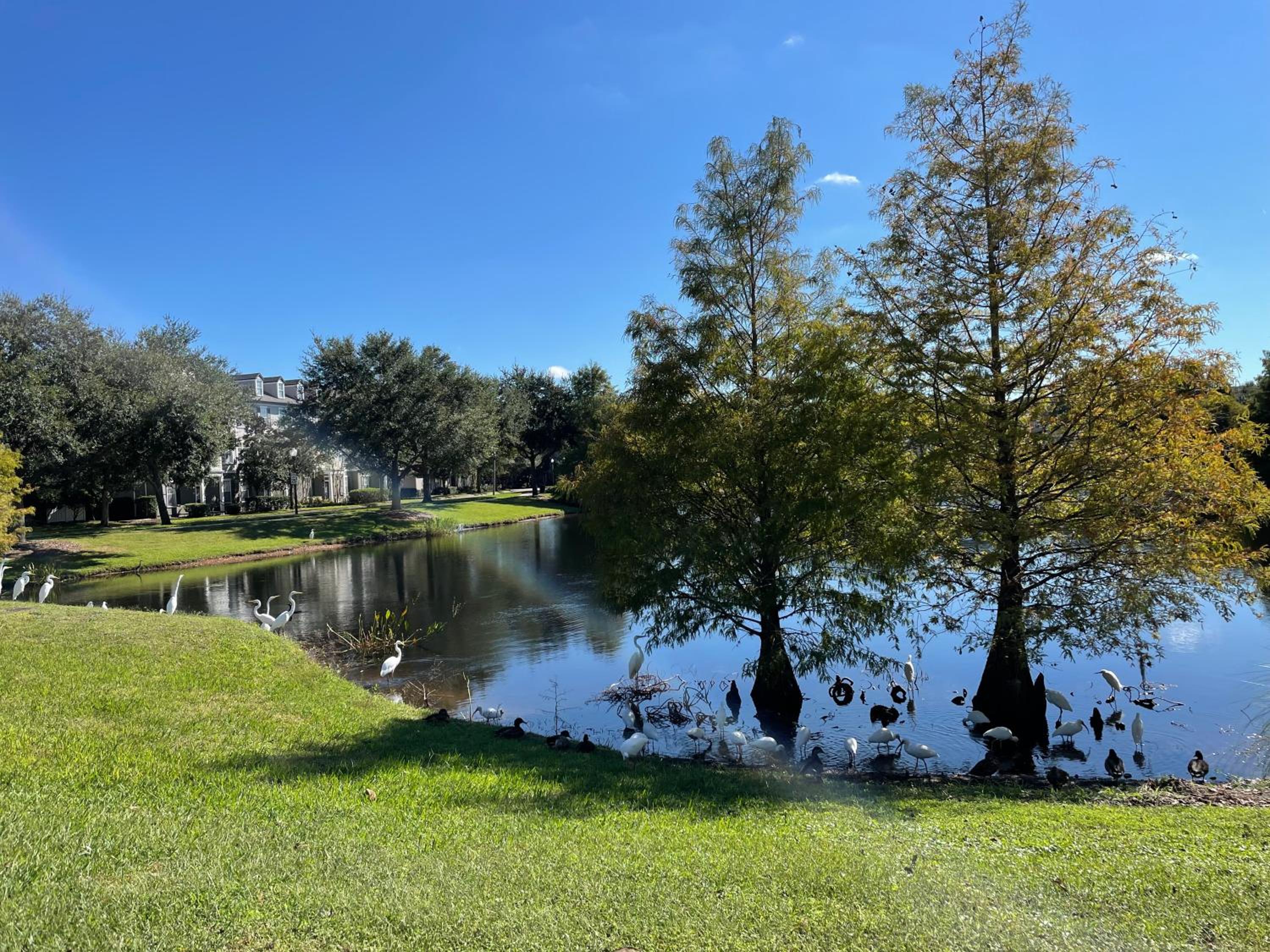 House close Baldwin-park Lake & Downtown Orlando