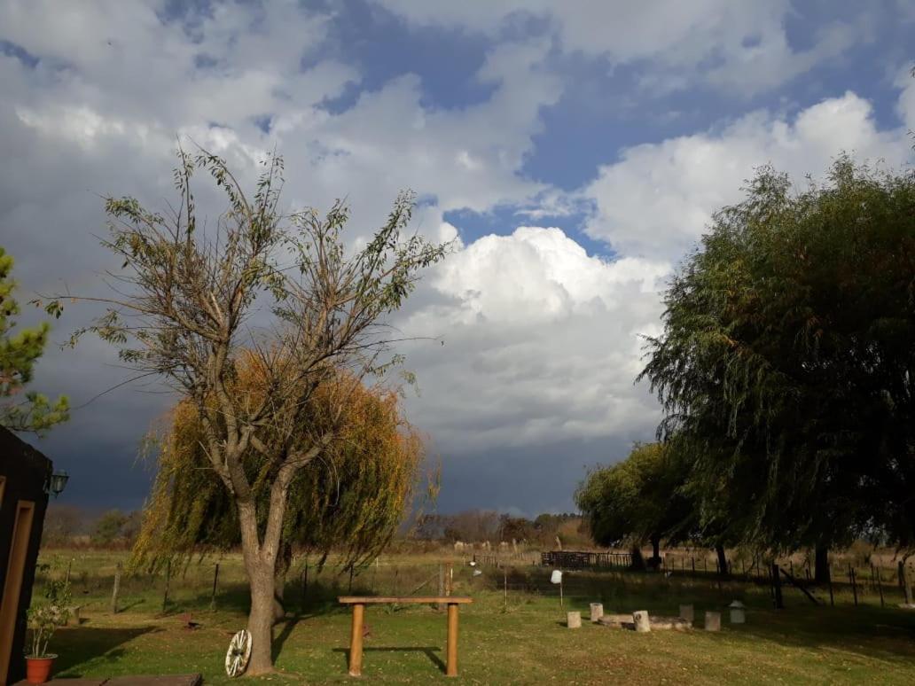 El campito