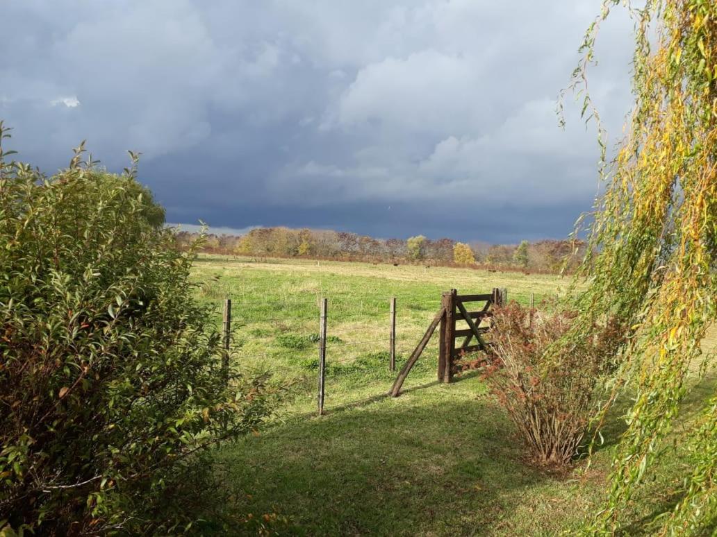 El campito