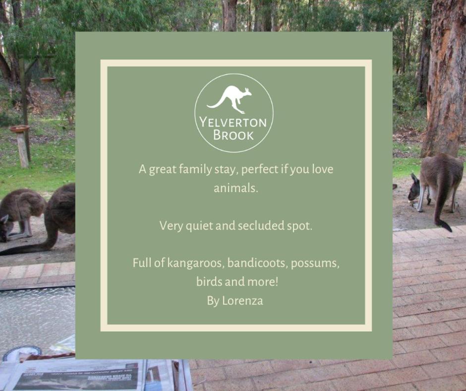 Yelverton Brook Conservation Sanctuary