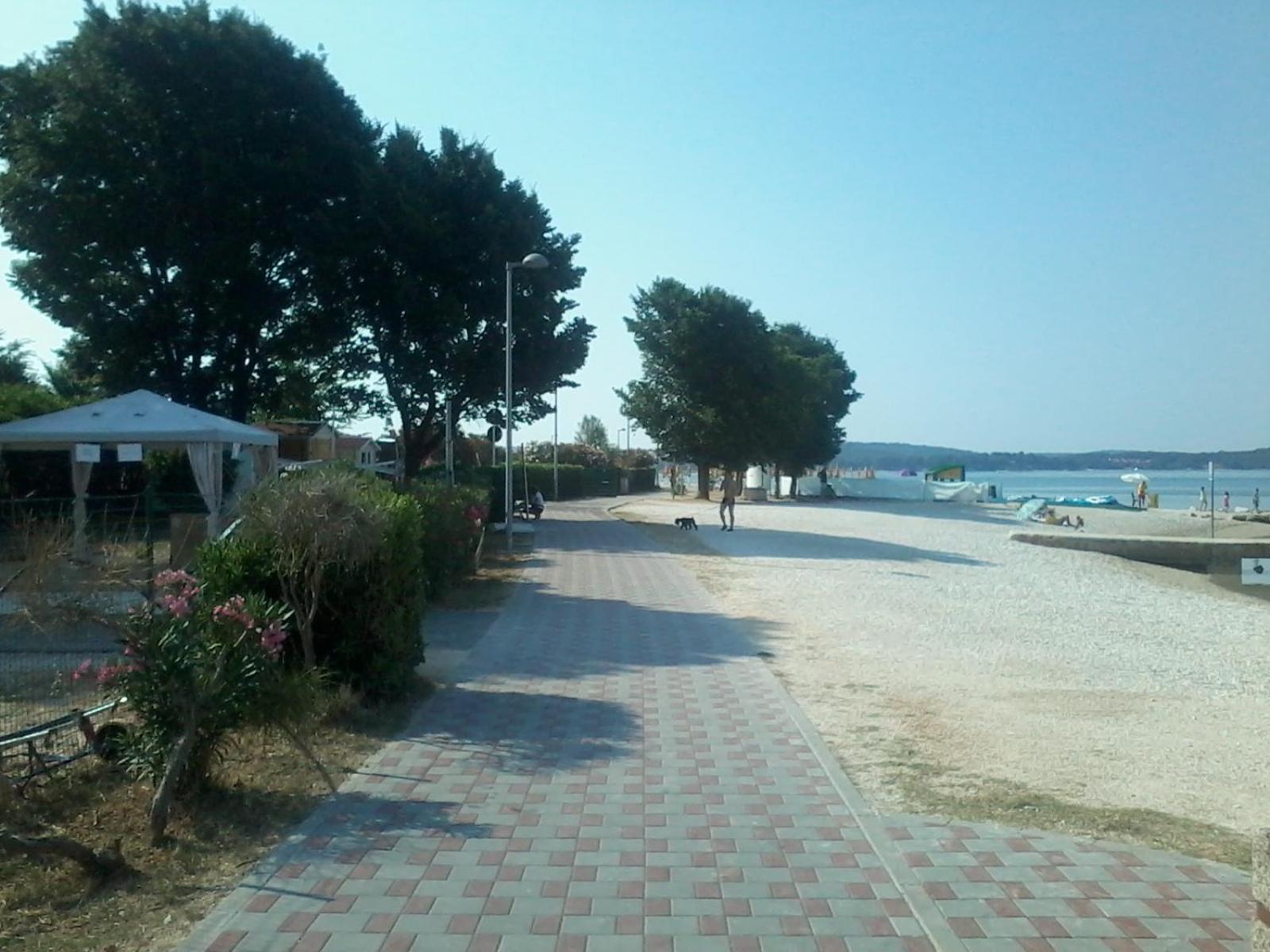Photo 43
