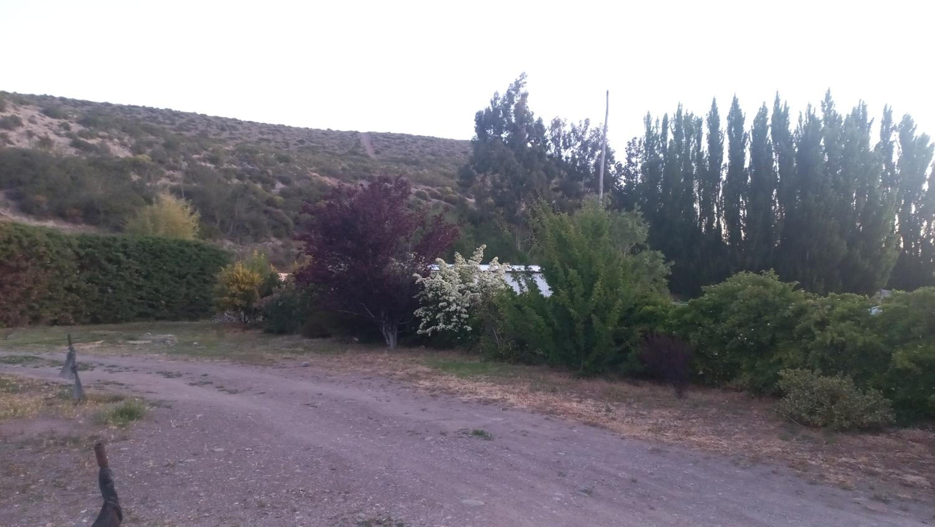 Dpto los rosales