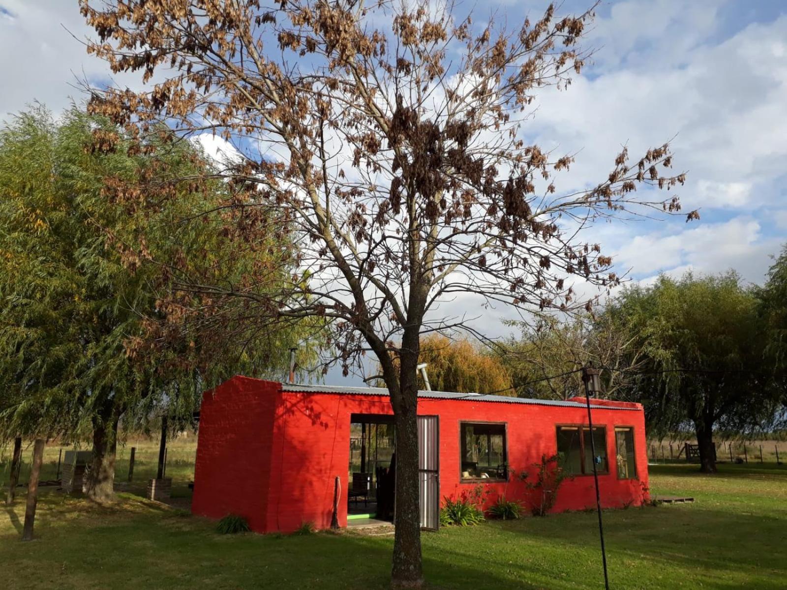 El campito