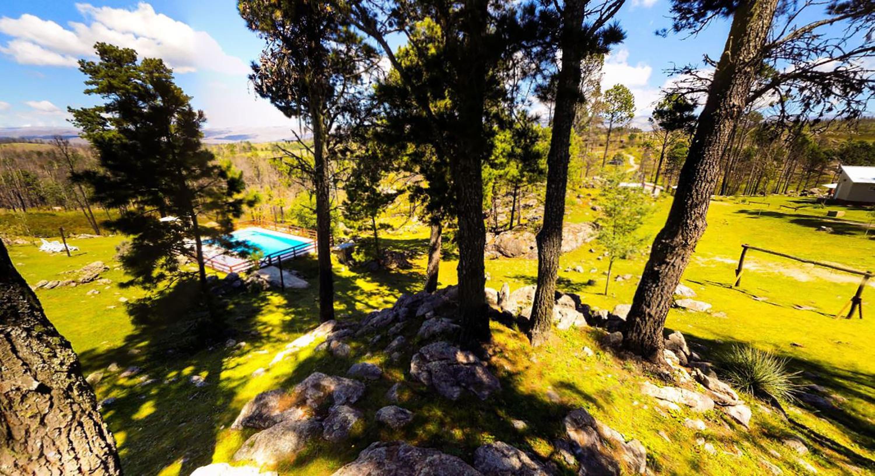 Altos Del Bosque
