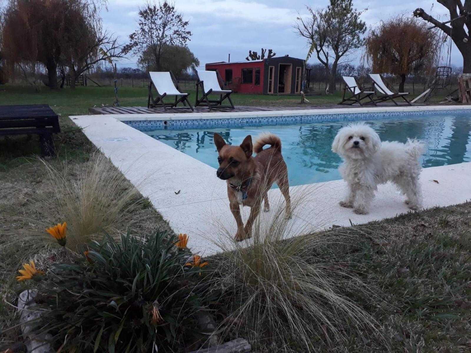 El campito