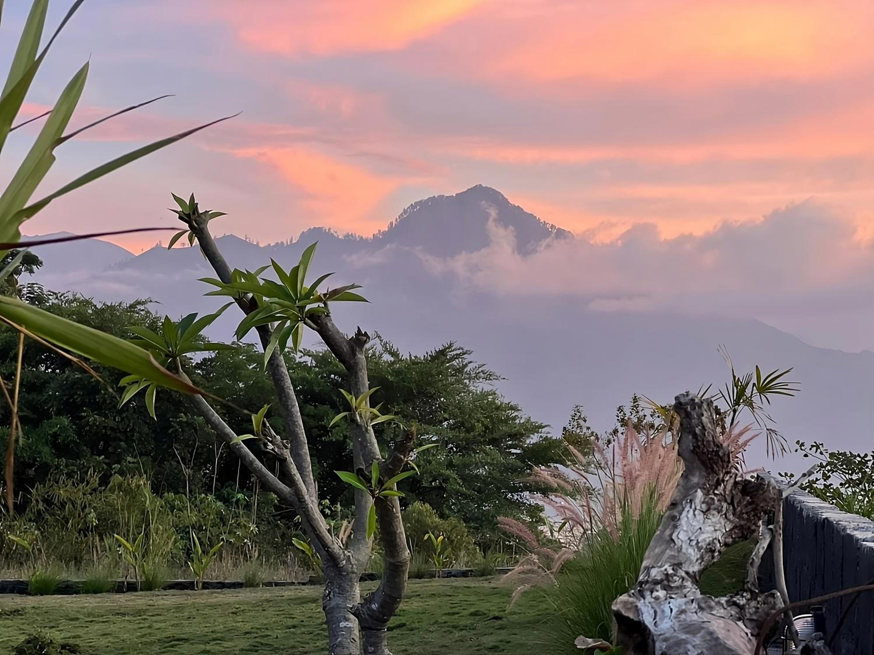 Hillside bali