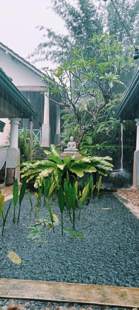 Jansen’s Bungalow Sinharaja Rainforest Retreat view 2