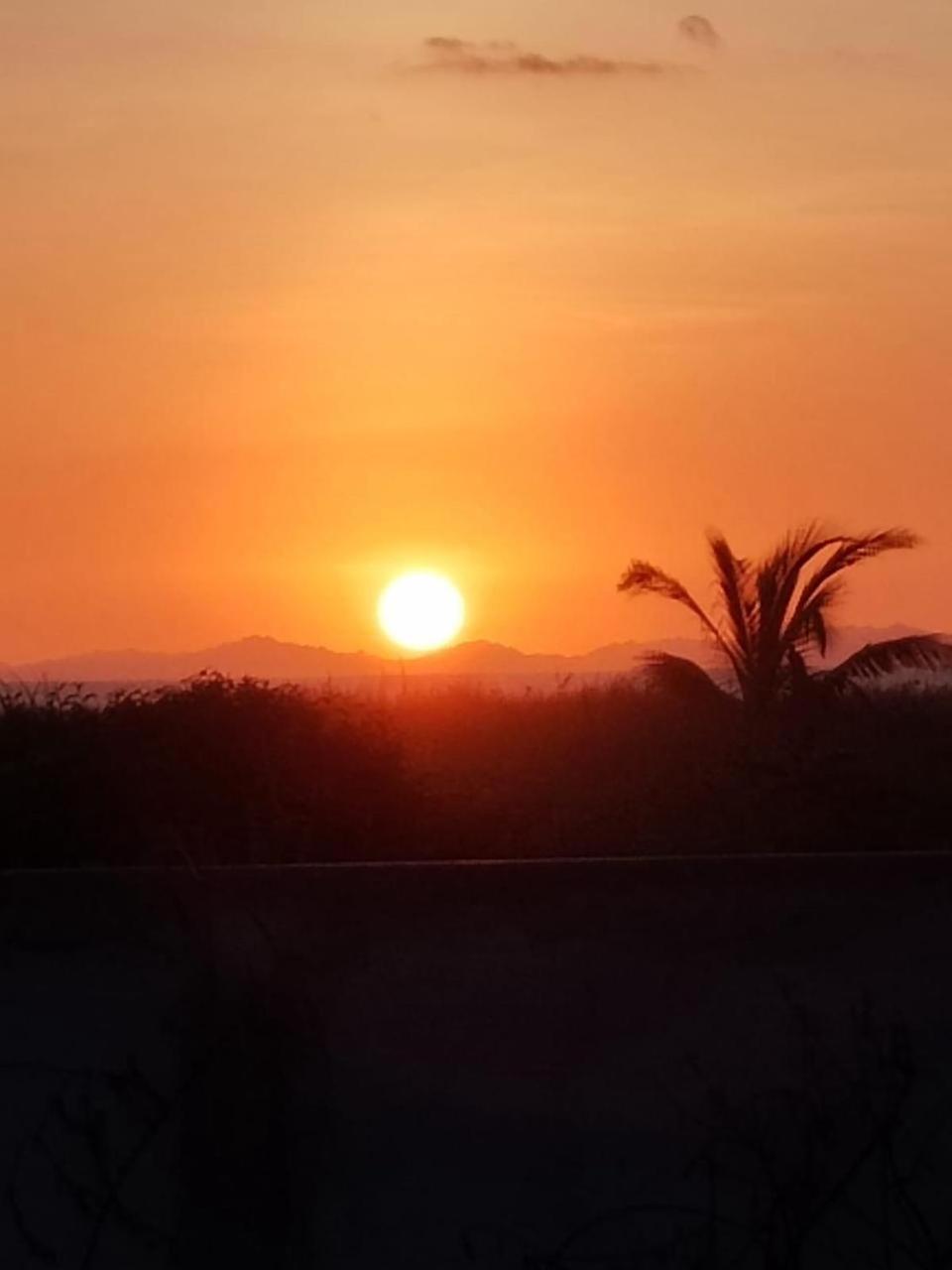 Apartamento familiar frente al mar view 4