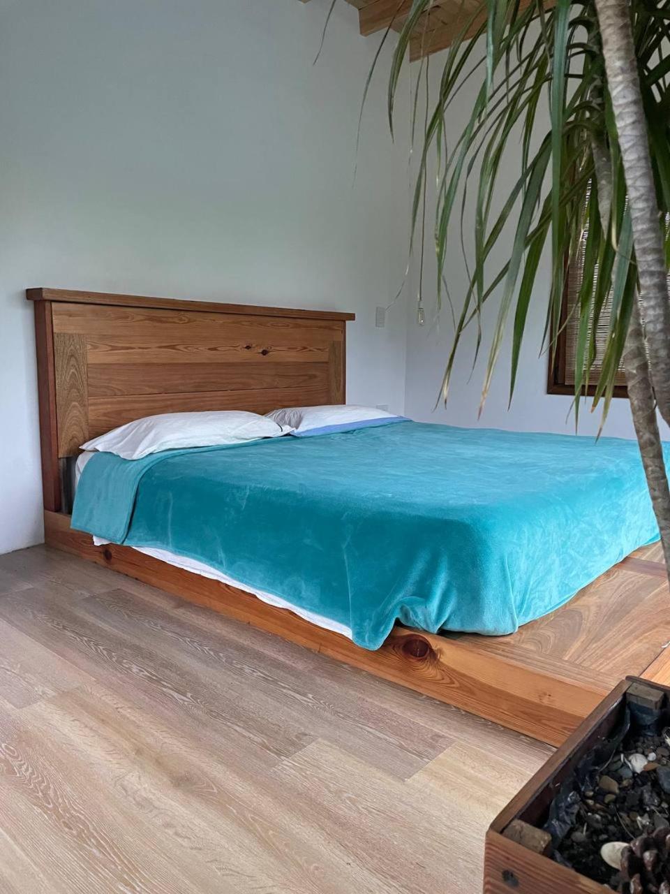 Casa Quinta Koi