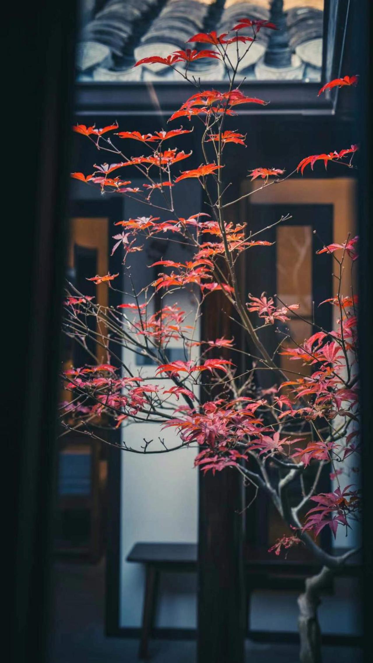 Yangzhou Aihehua Boutique Homestay