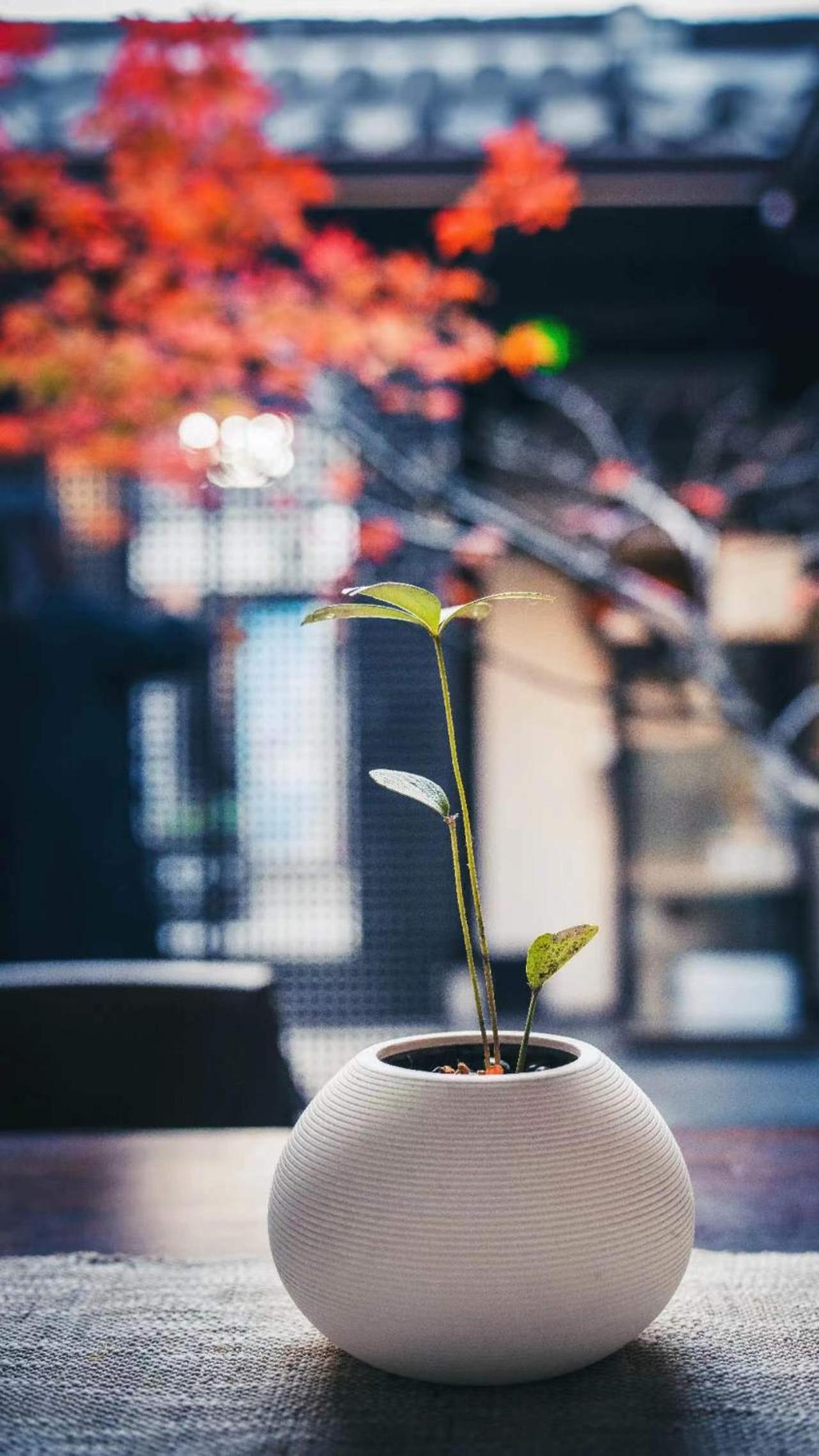 Yangzhou Aihehua Boutique Homestay