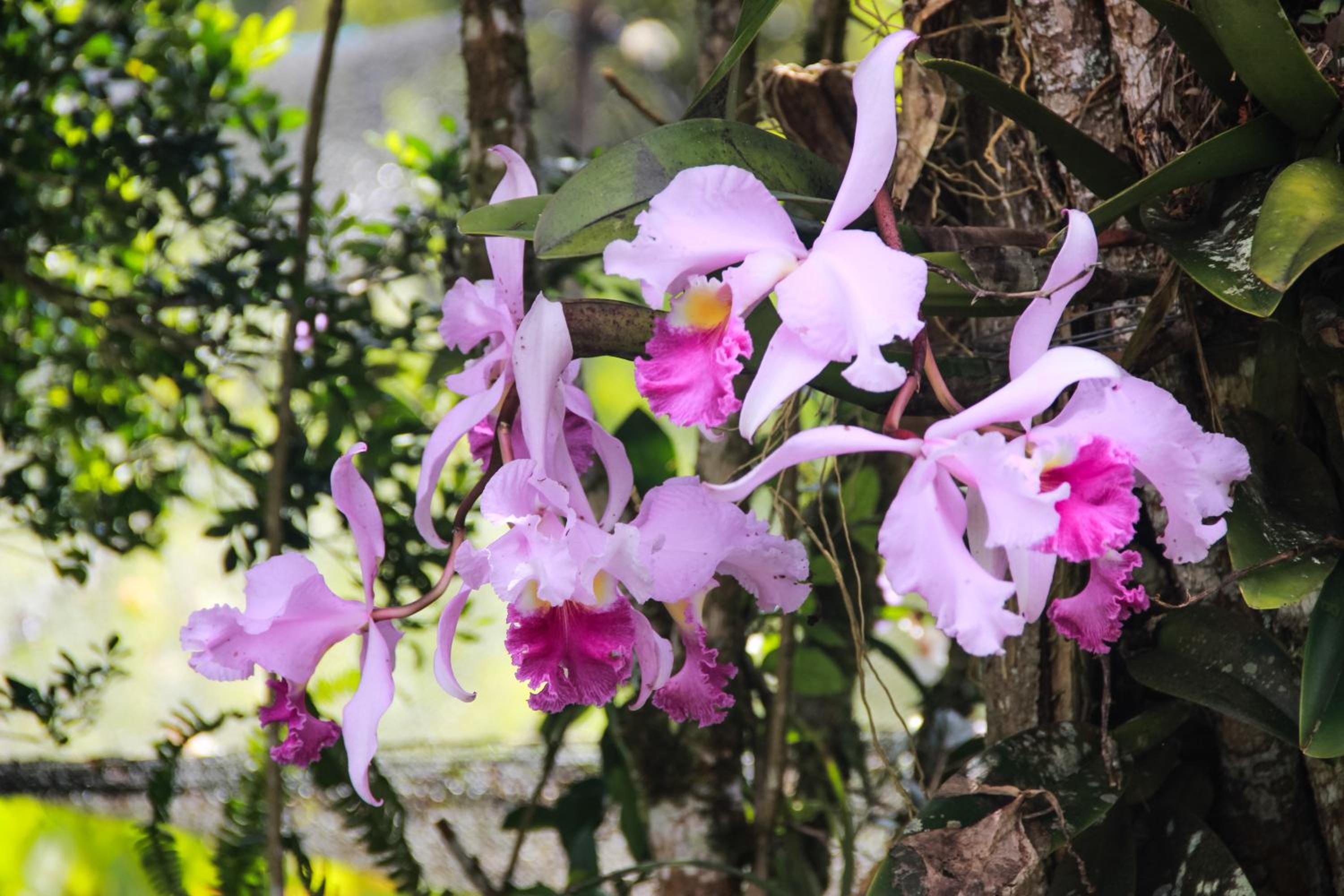 El Encanto Nature Reserve