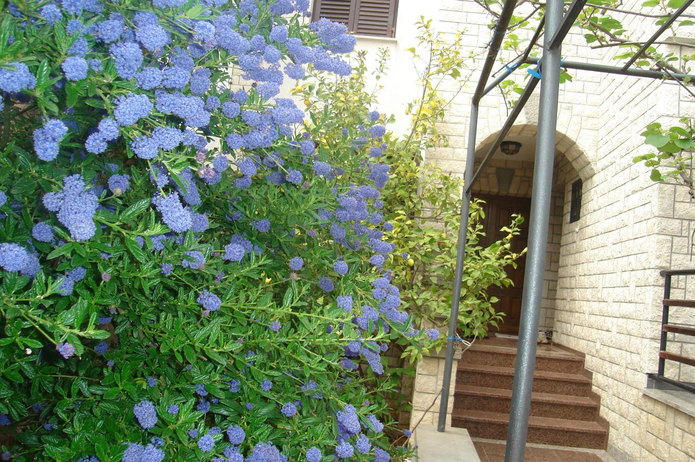 Photo 33