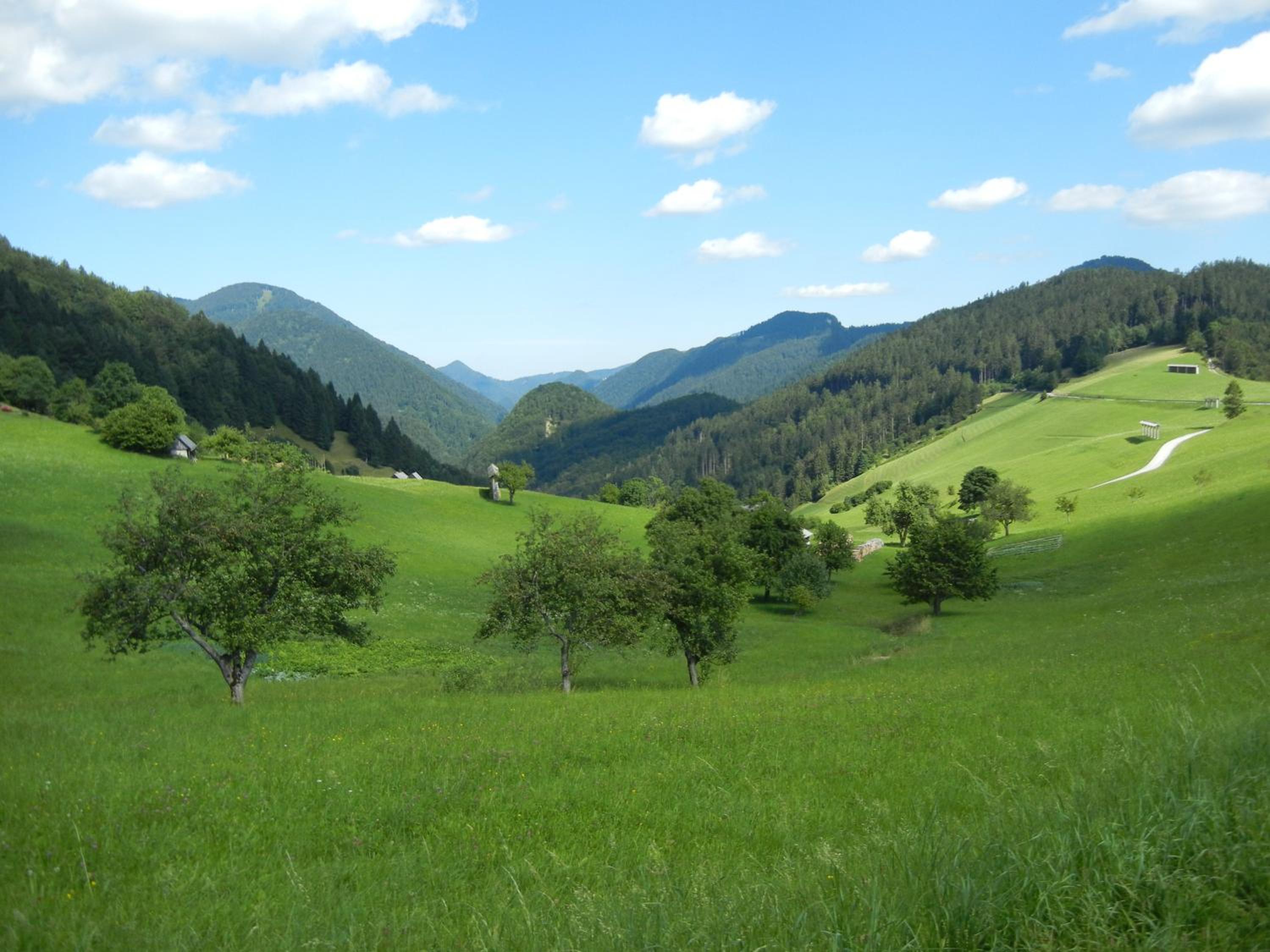 Photo 46