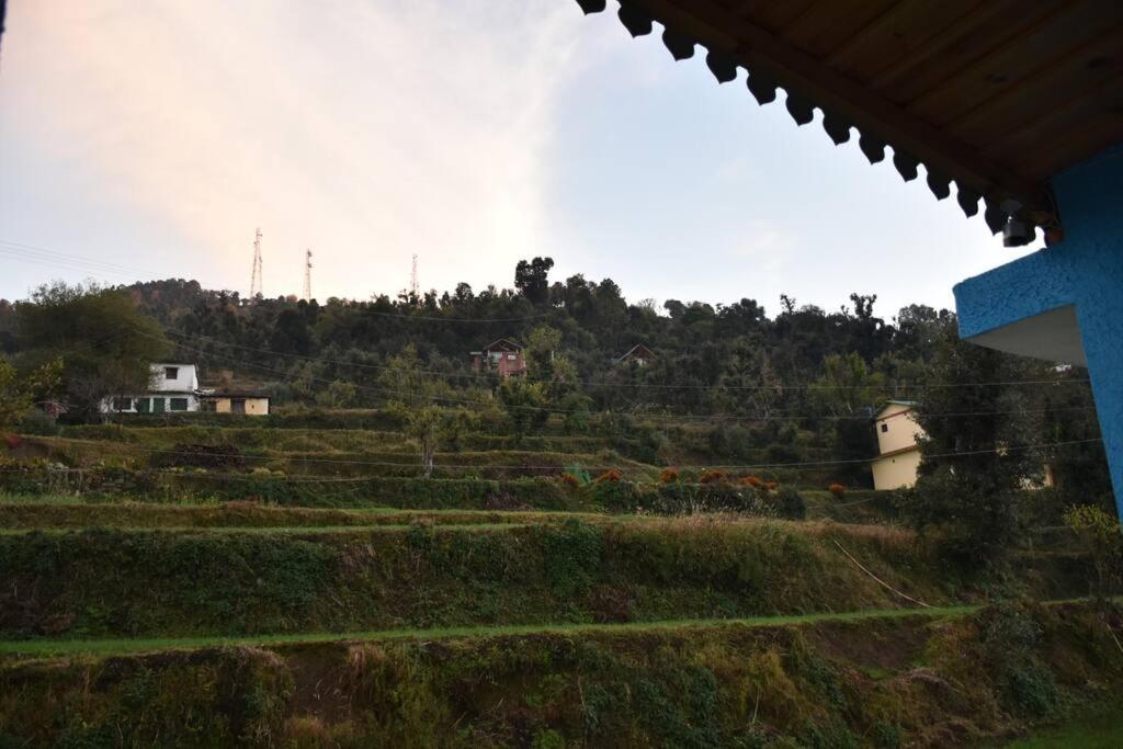 Sarang