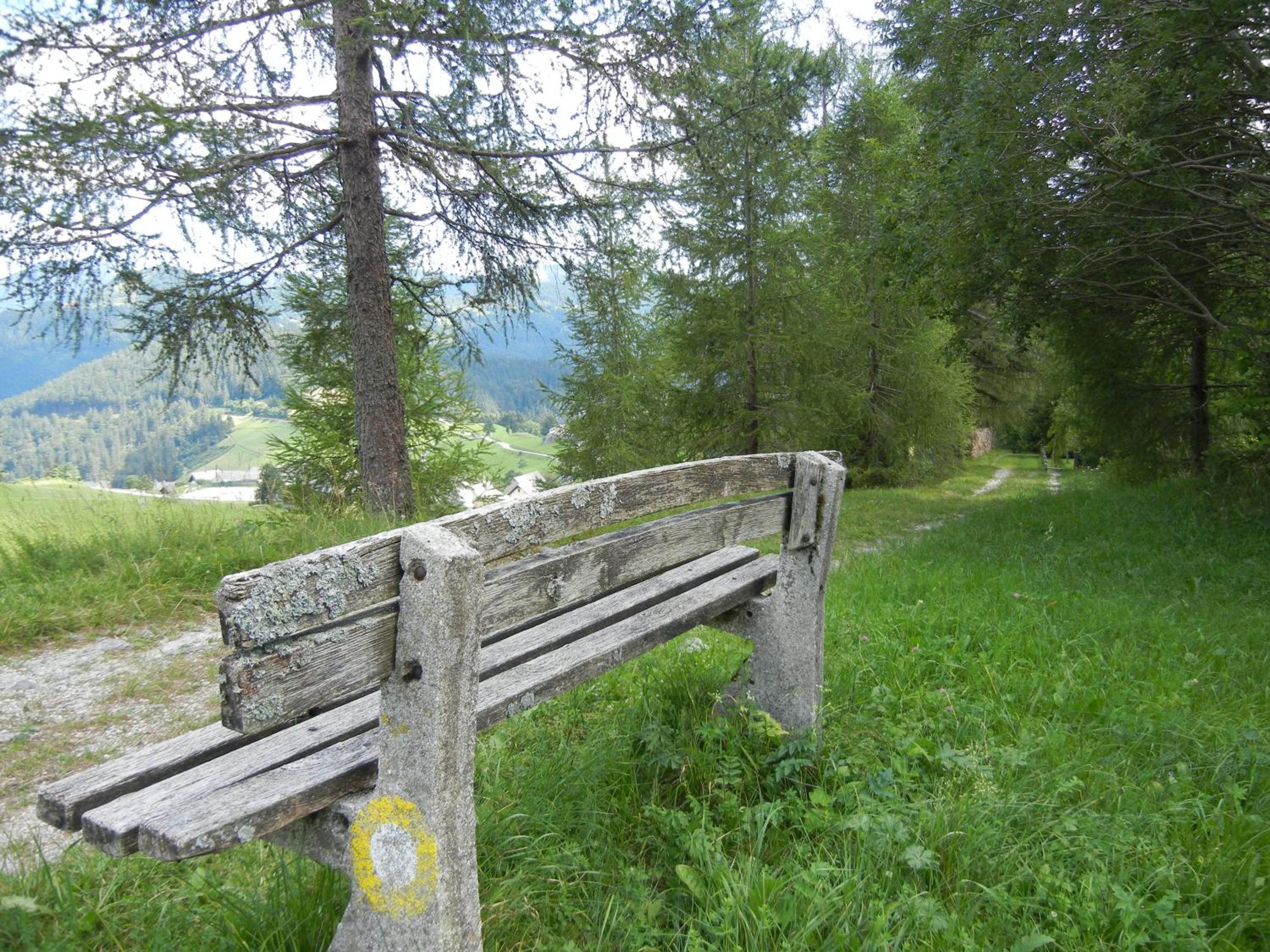 Photo 54