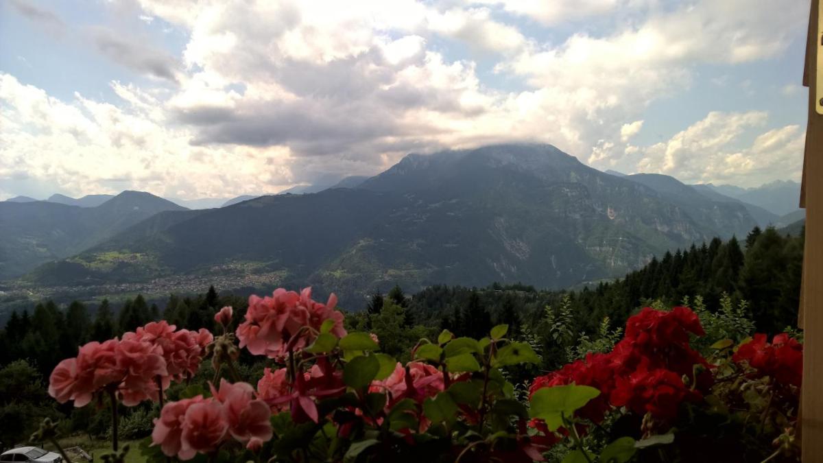Photo 51