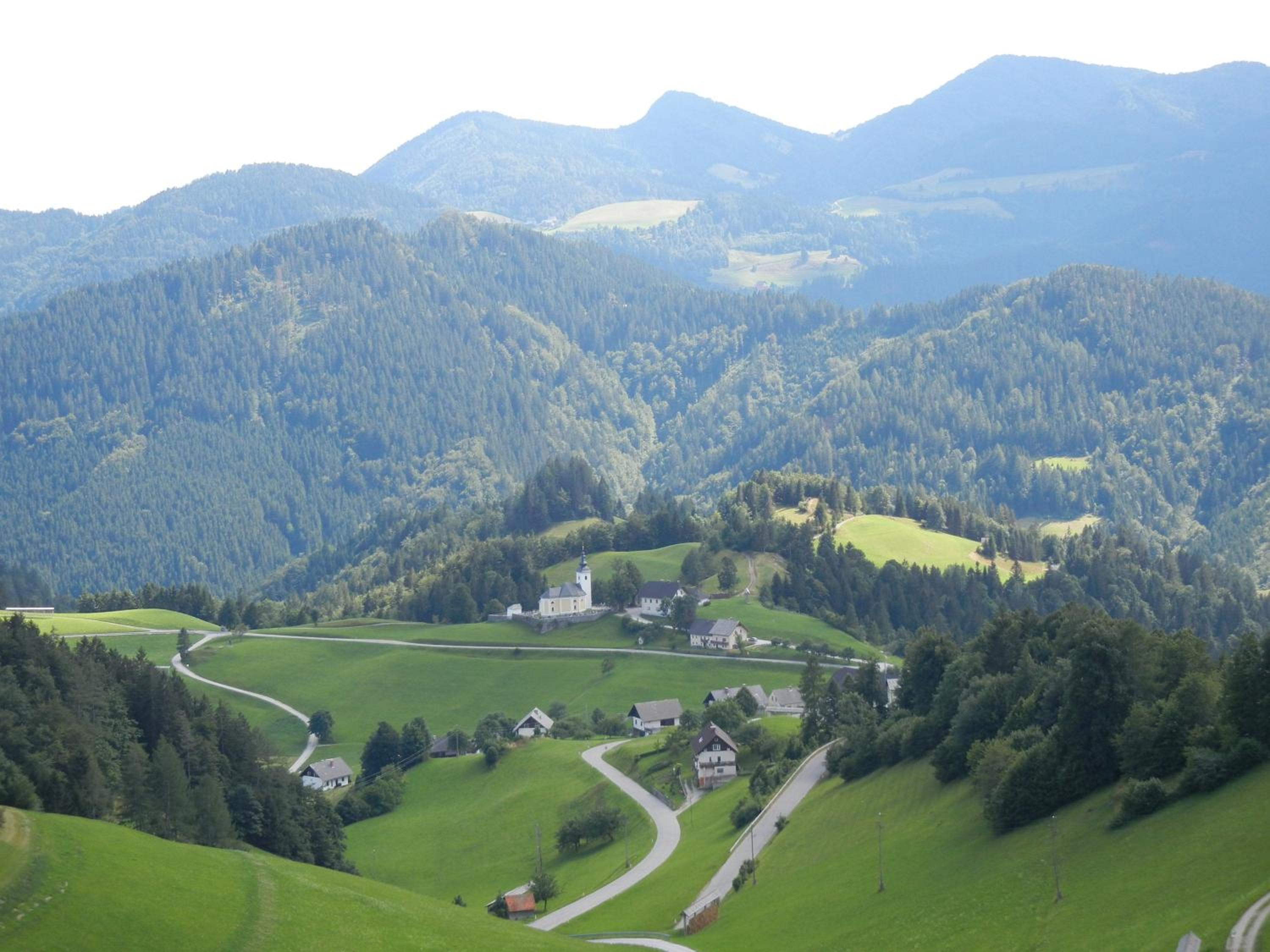 Photo 42