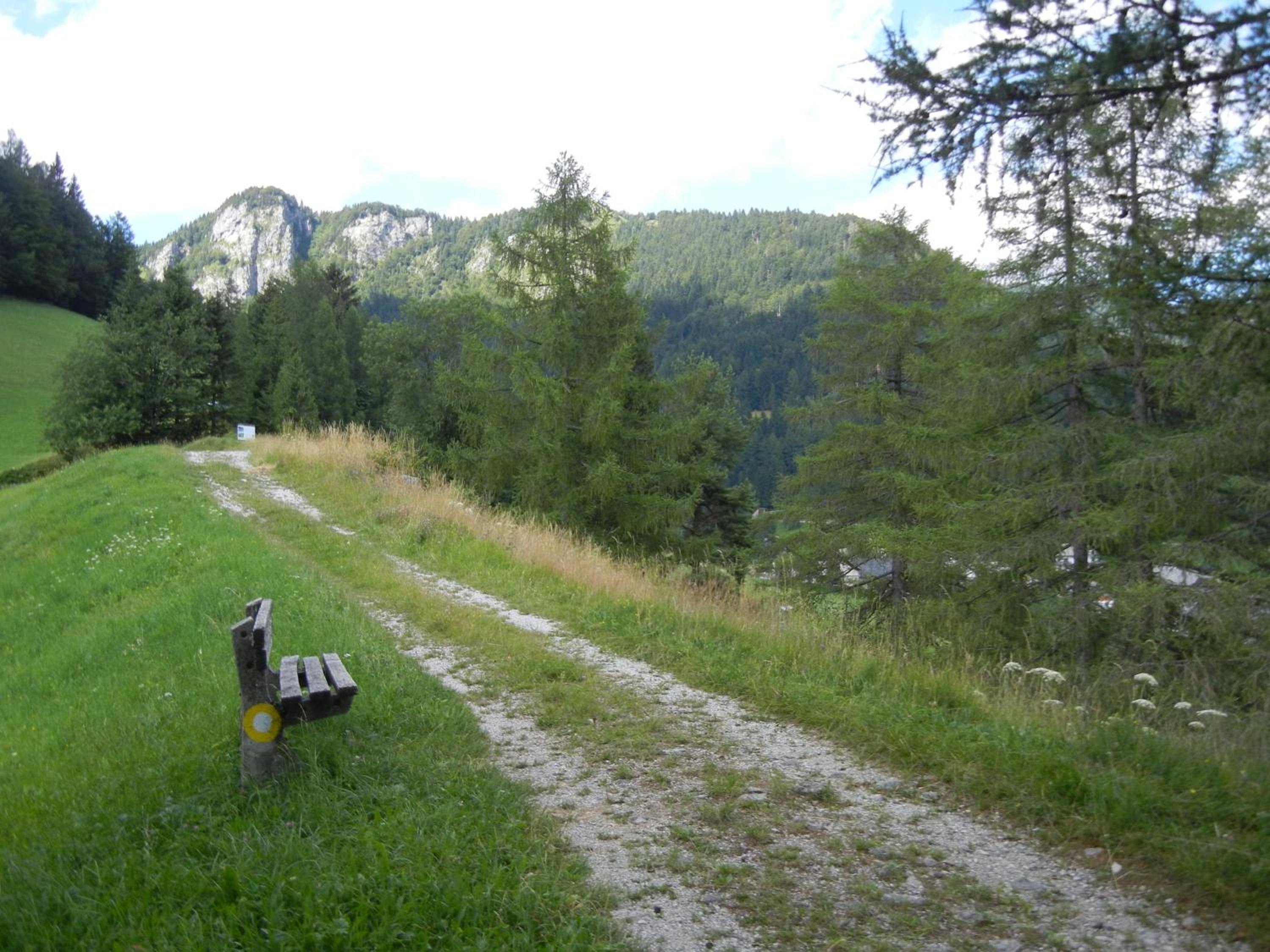 Photo 37